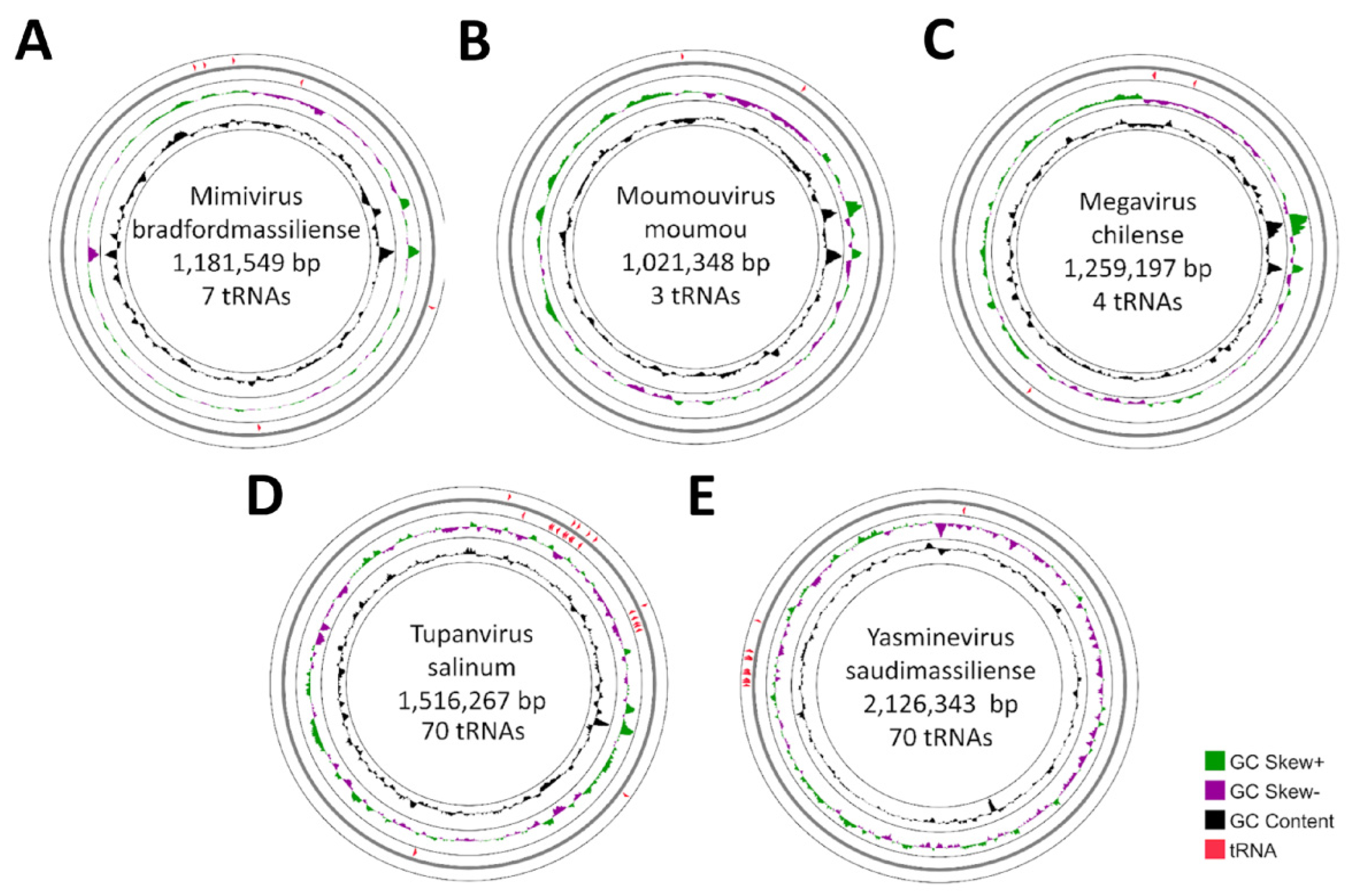 Viruses 17 00328 g005 Viruses 17 00328 g005