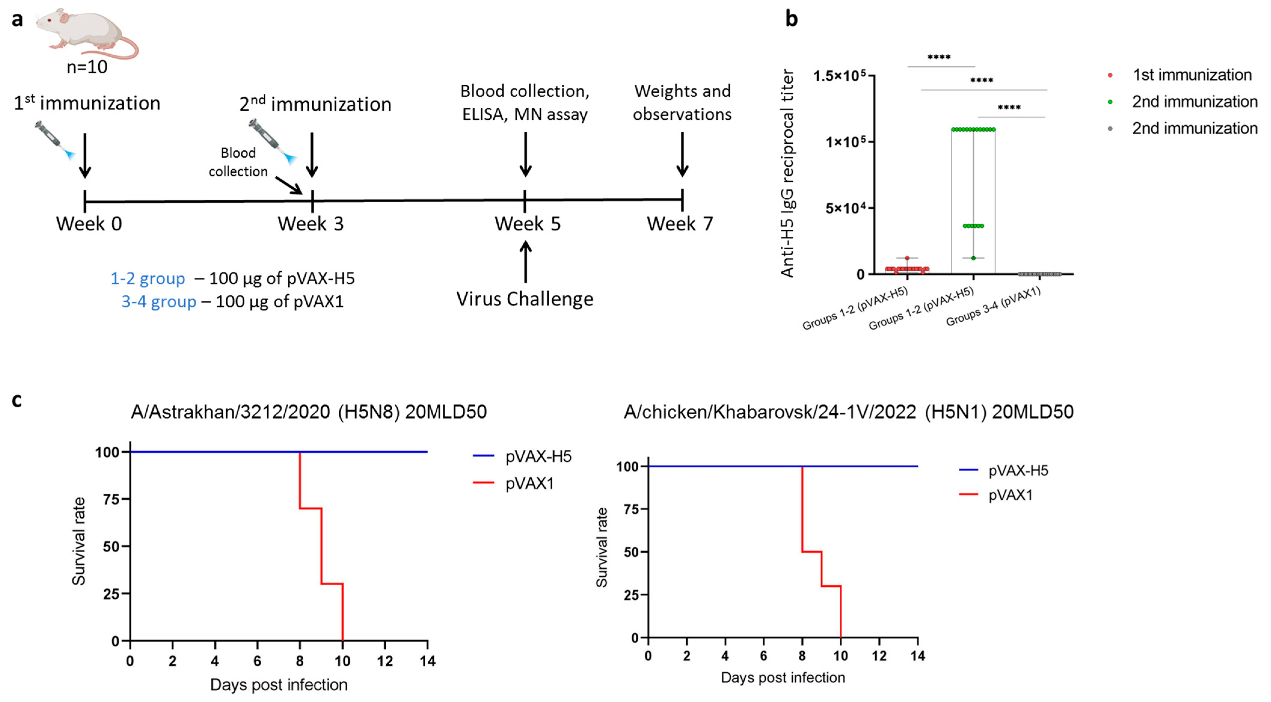 Viruses 17 00330 g003 Viruses 17 00330 g003