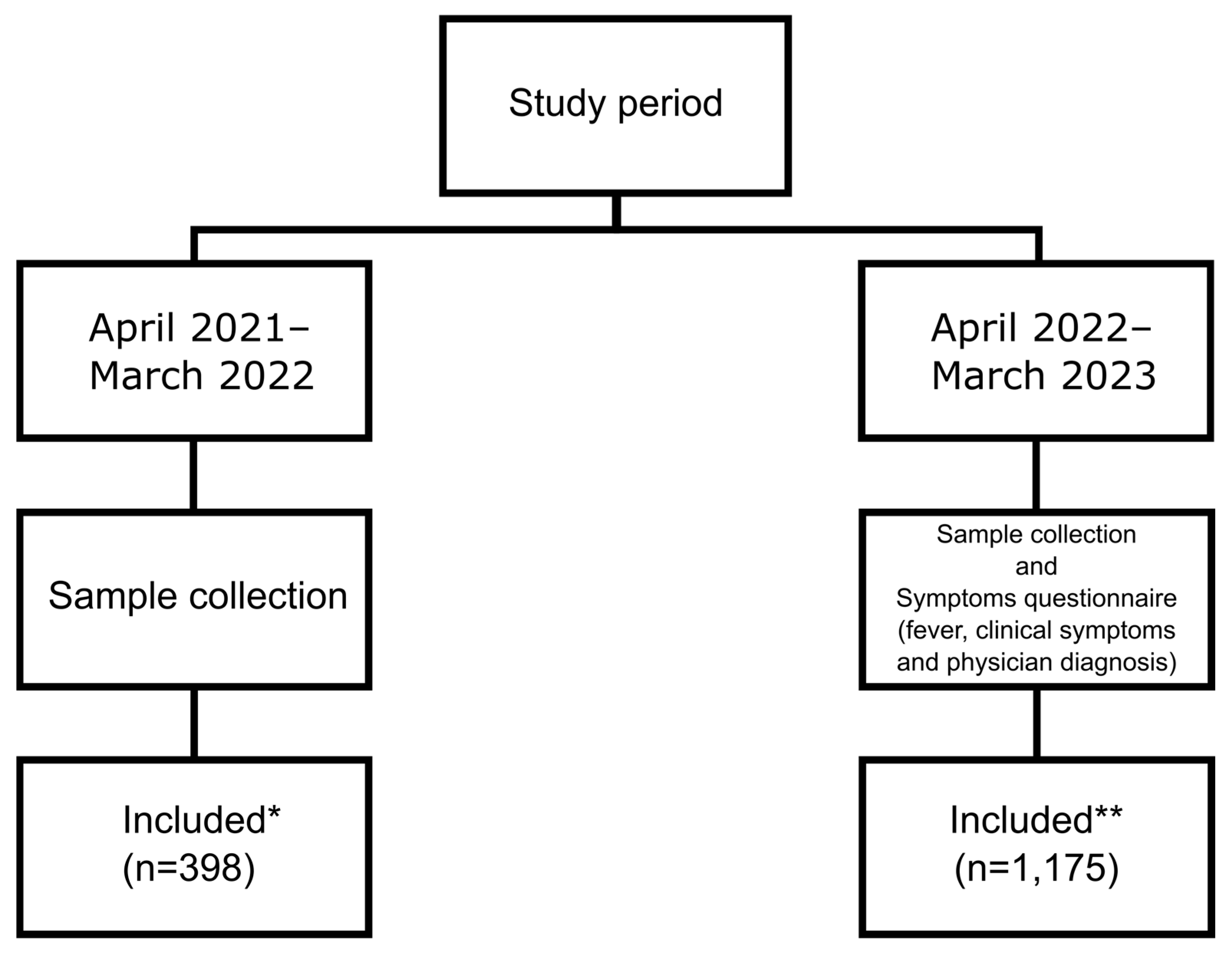 Viruses 17 00331 g001