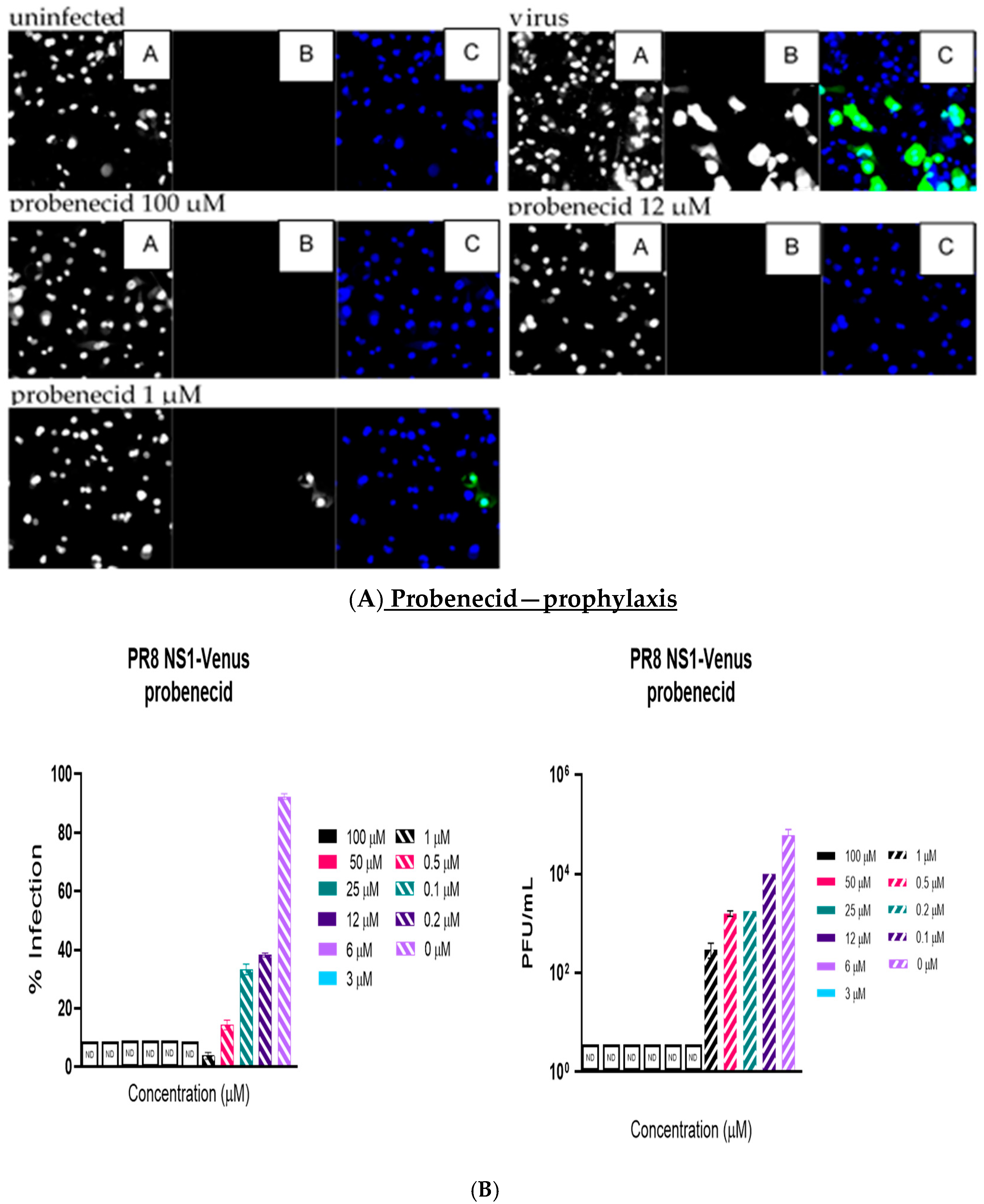 Viruses 17 00335 g001