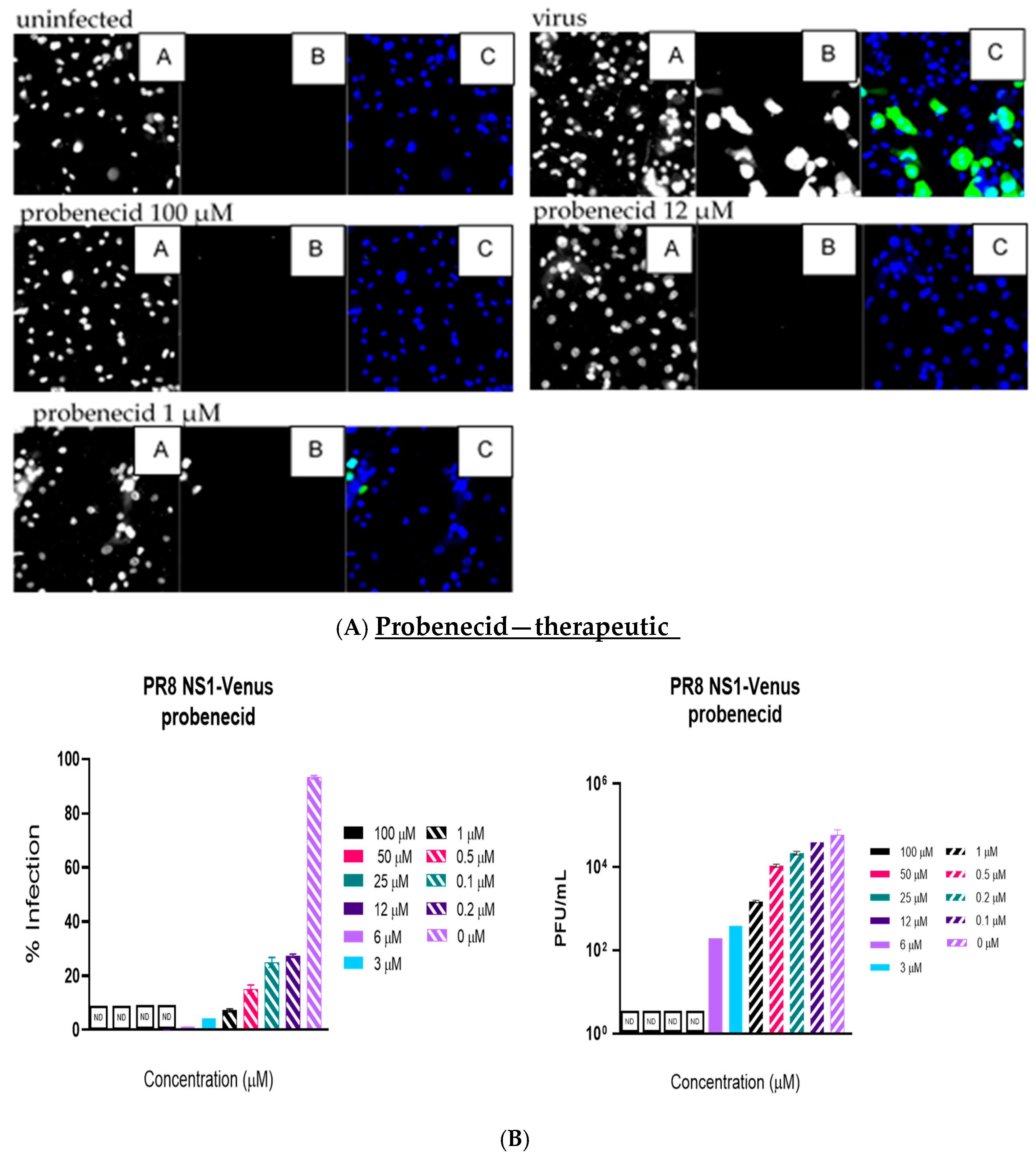 Viruses 17 00335 g003