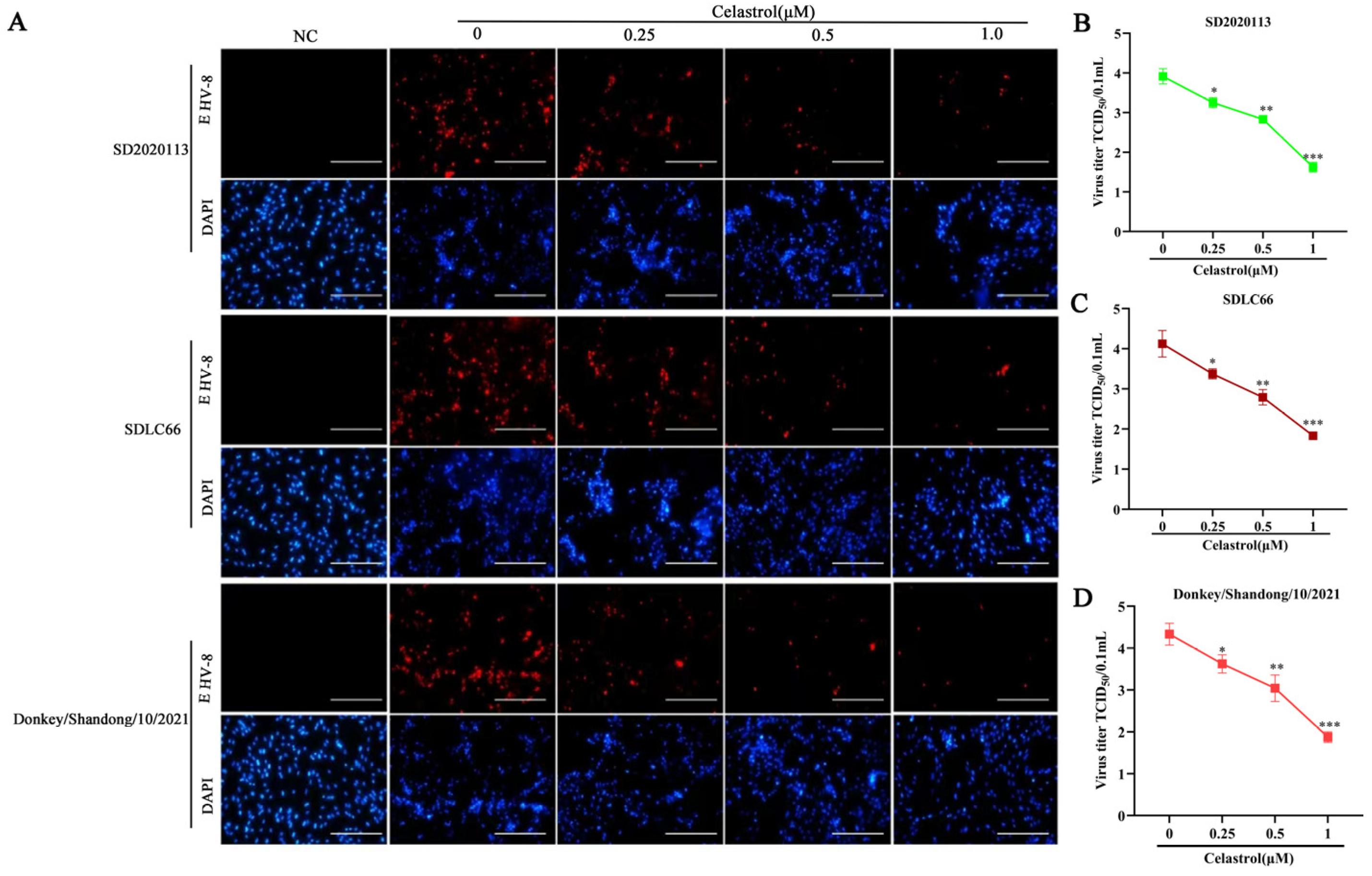 Viruses 17 00347 g003