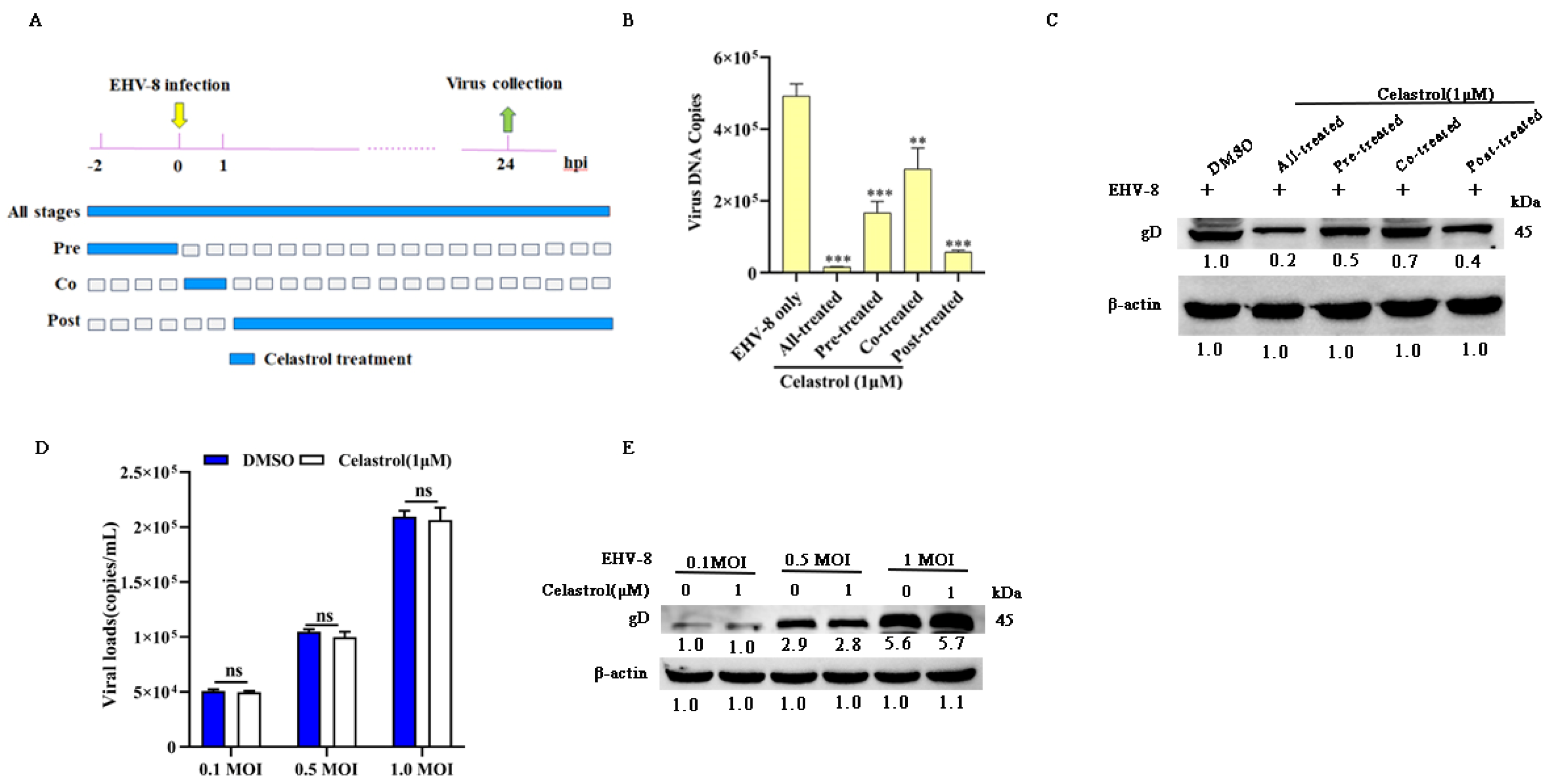 Viruses 17 00347 g004