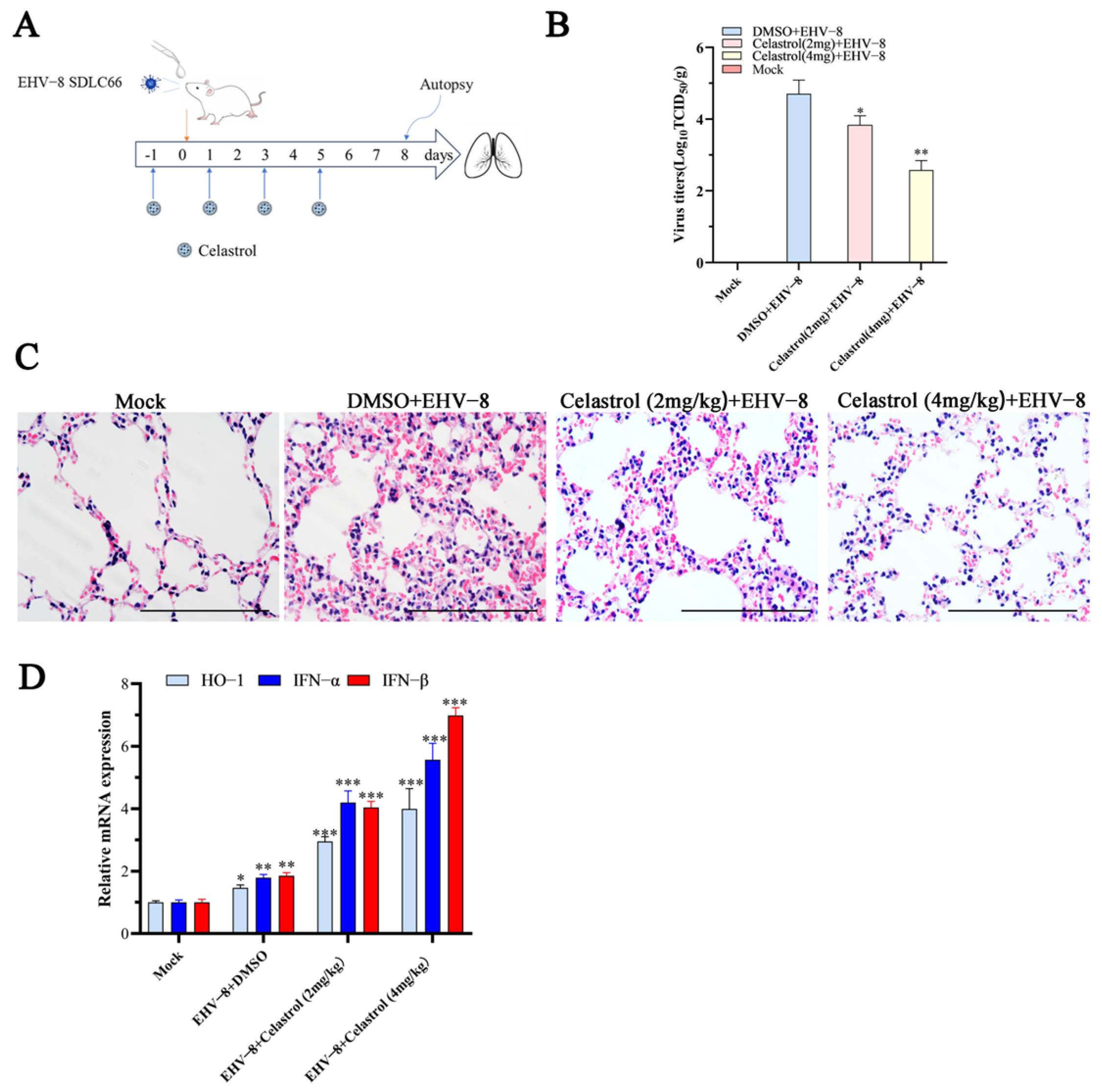 Viruses 17 00347 g006