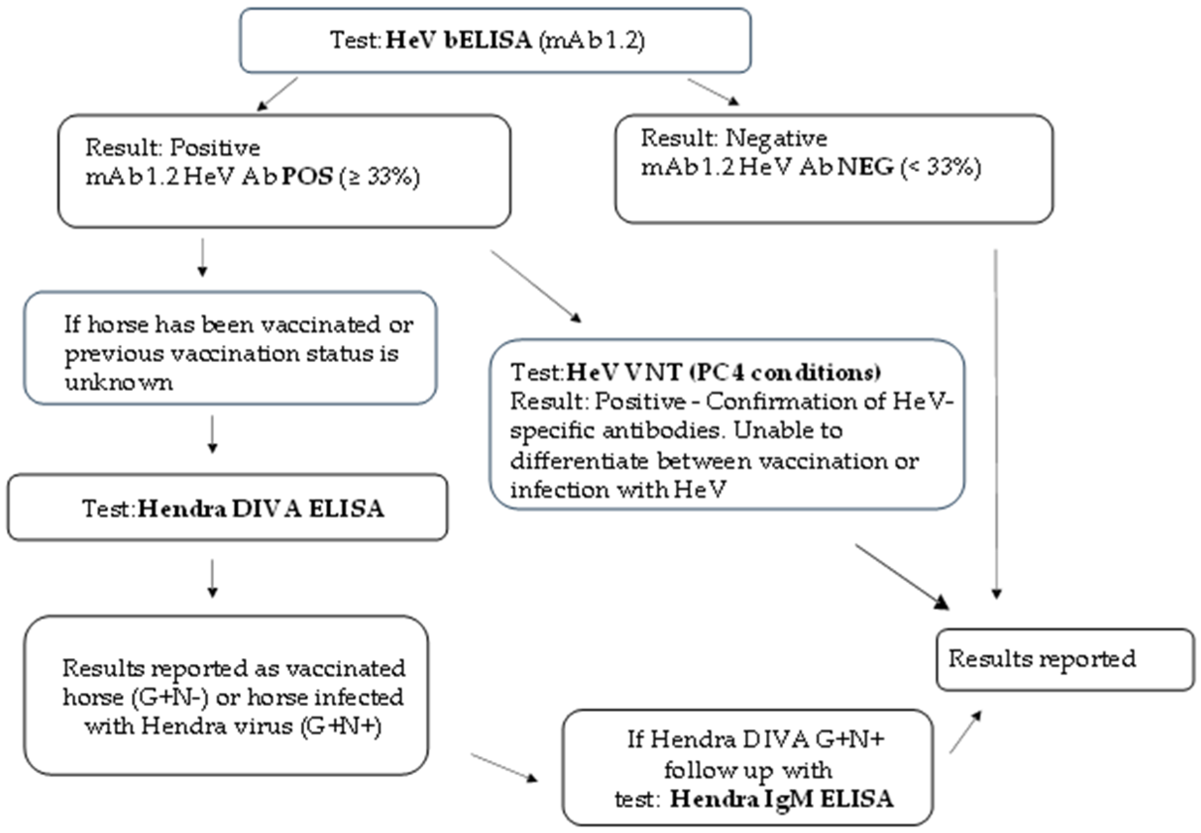 Viruses 17 00354 g003