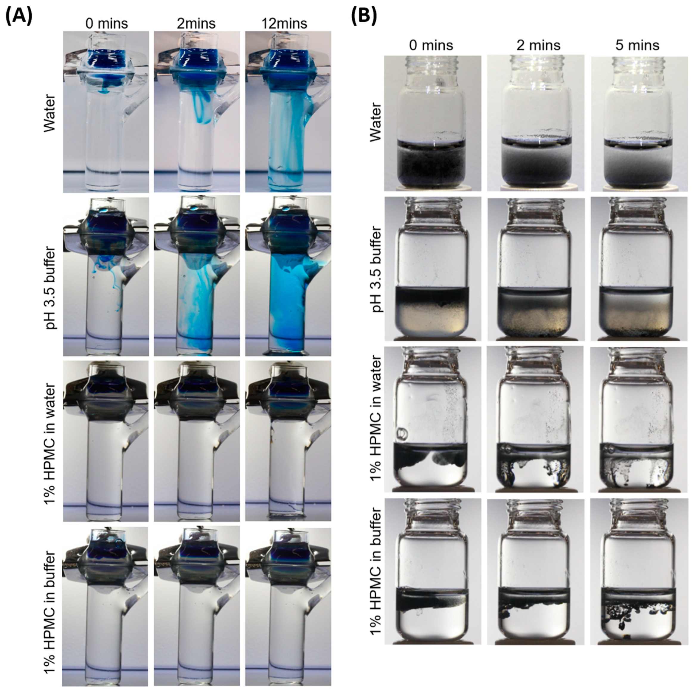 Viruses 17 00376 g001