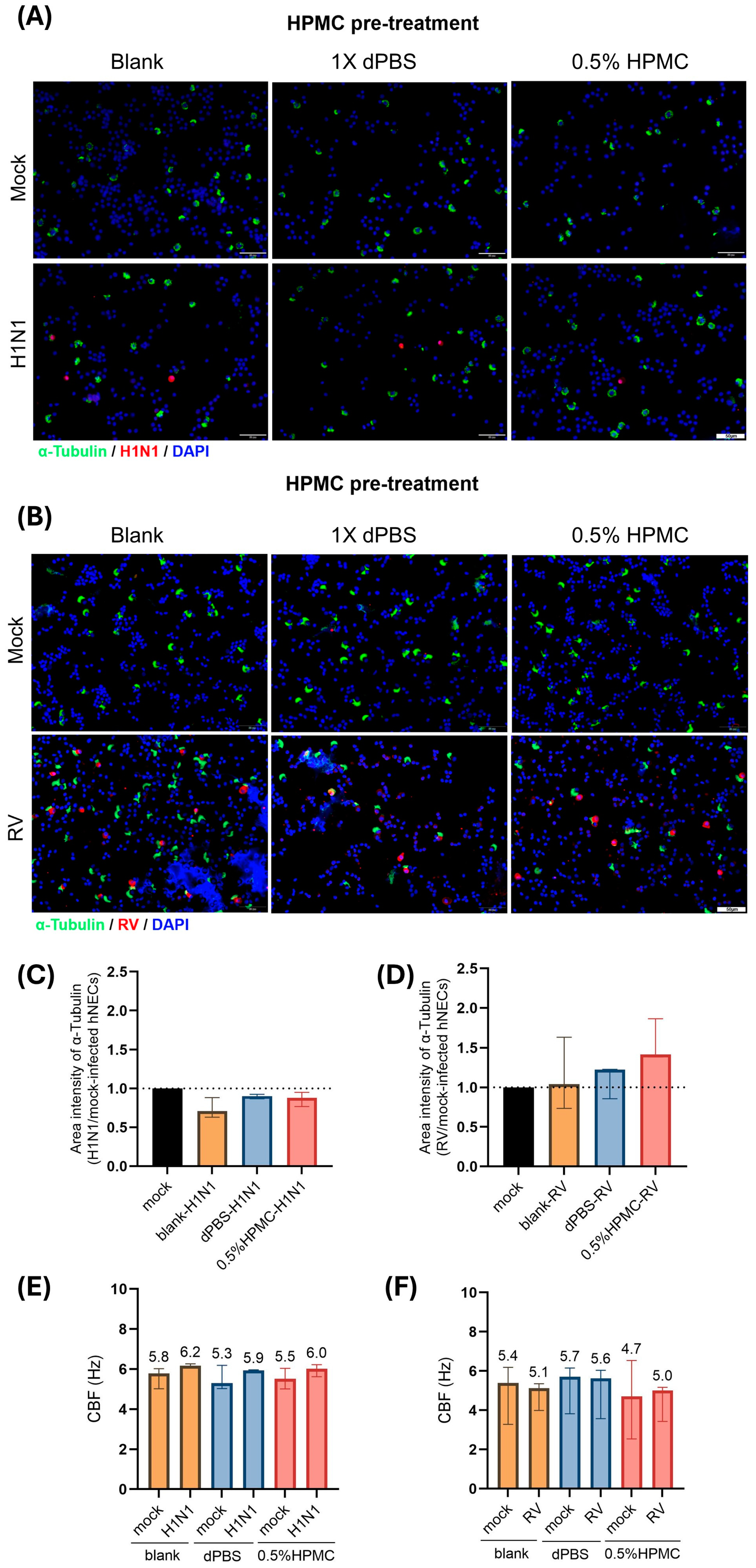 Viruses 17 00376 g003