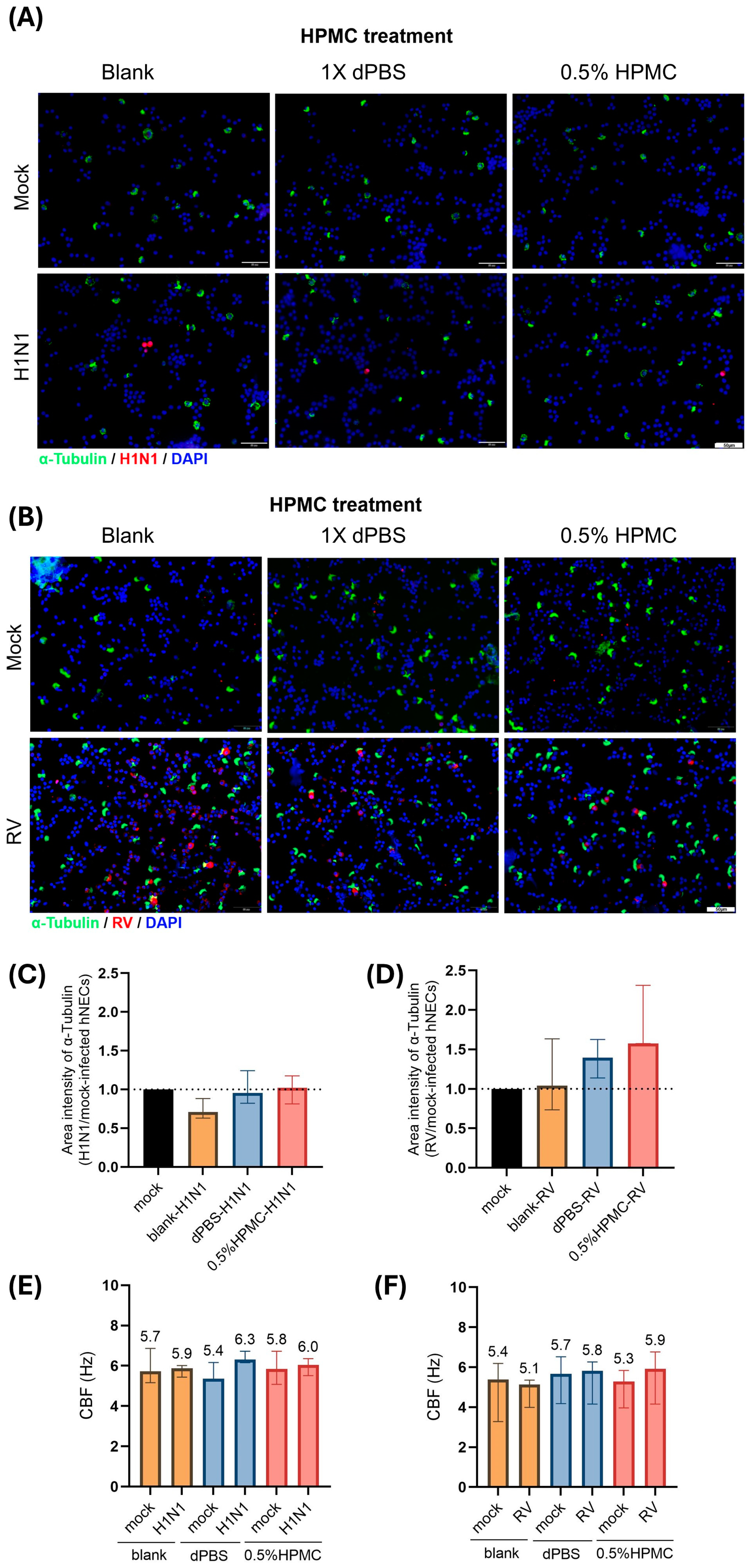 Viruses 17 00376 g005