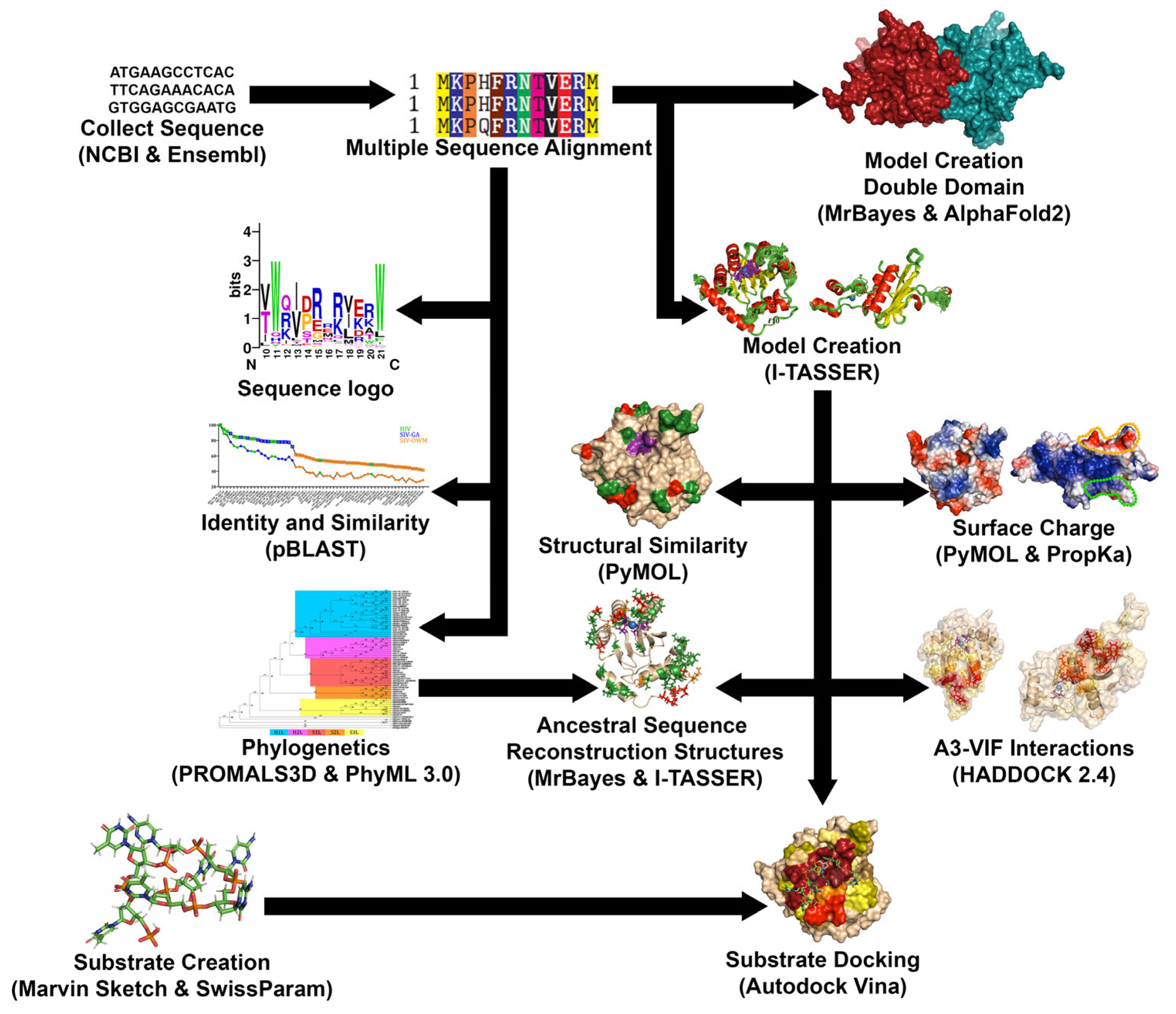 Viruses 17 00393 g001