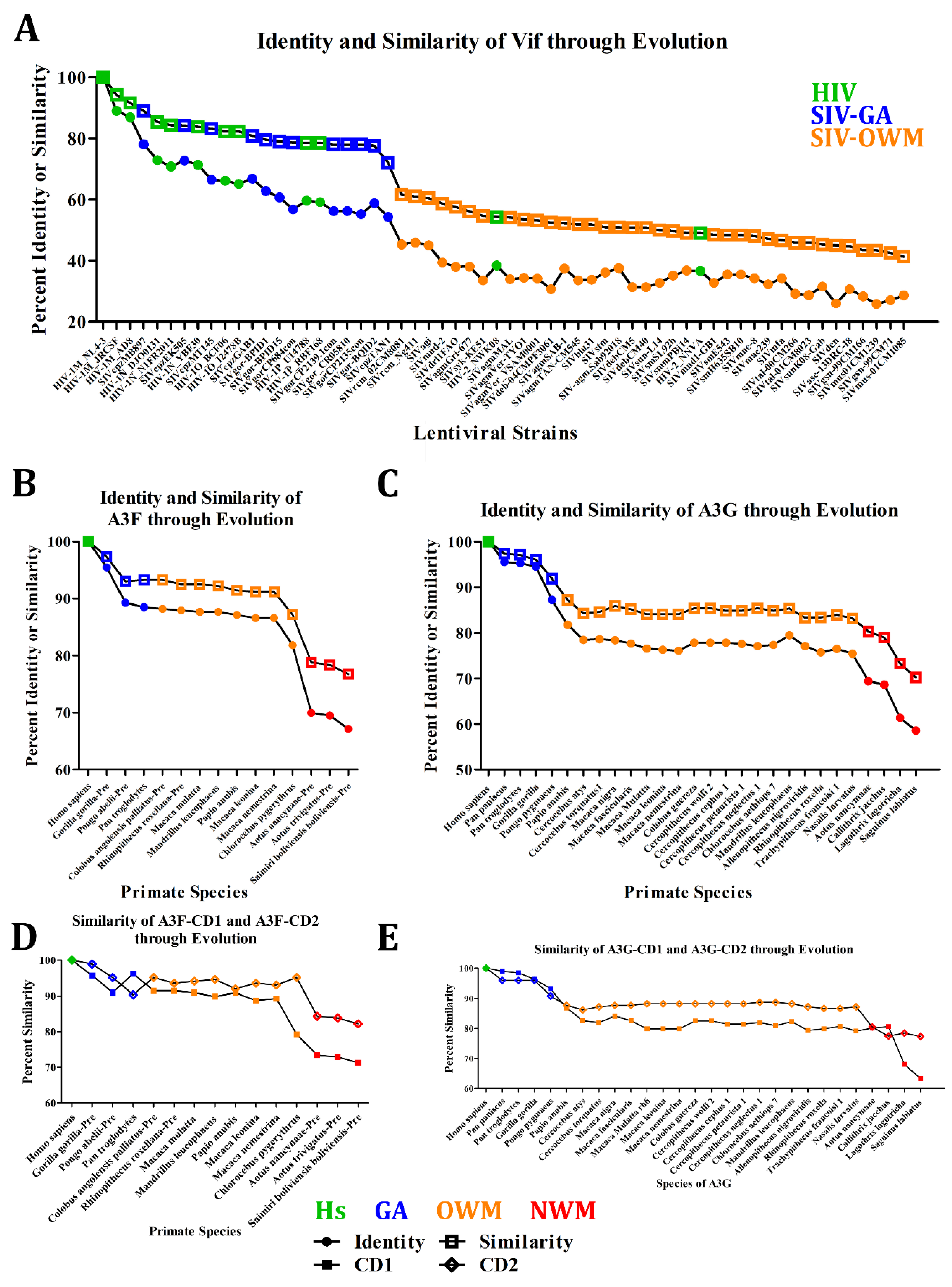 Viruses 17 00393 g003