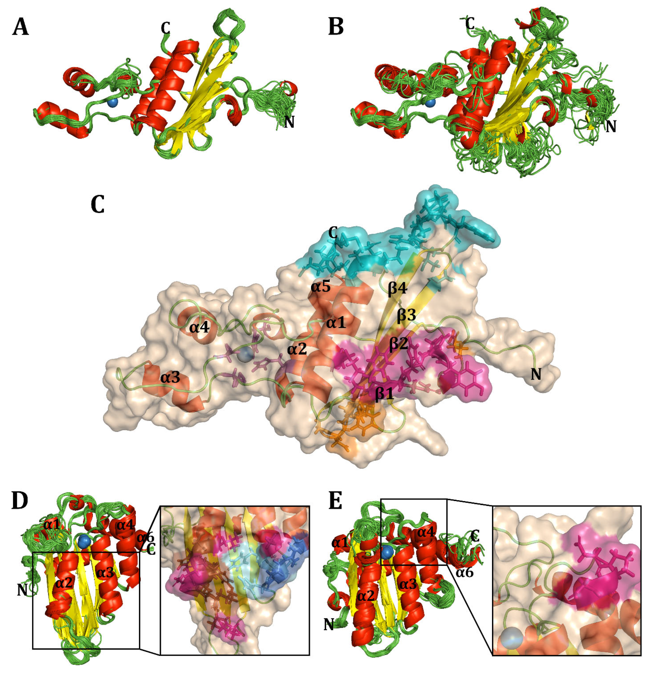 Viruses 17 00393 g004