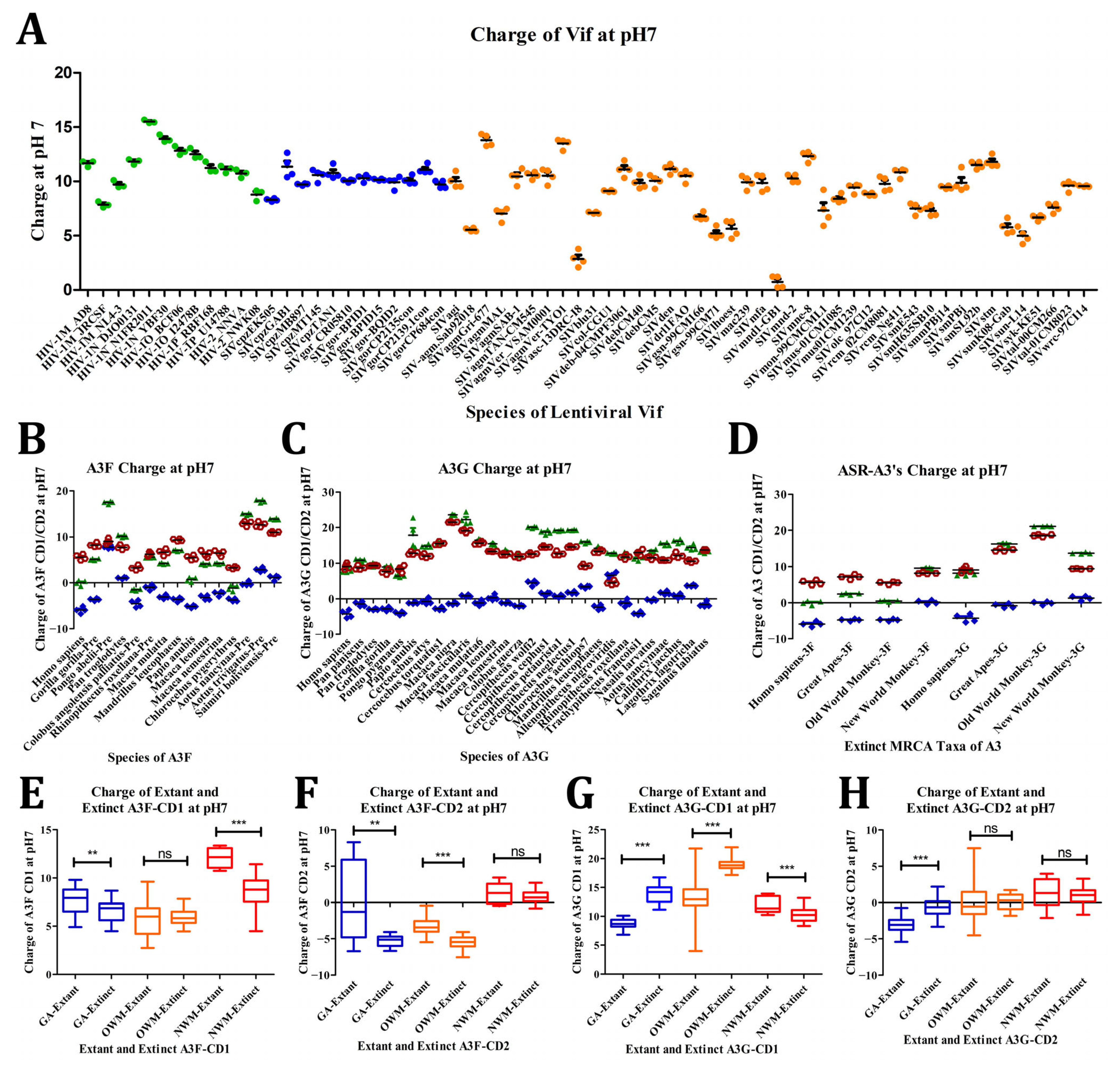Viruses 17 00393 g008