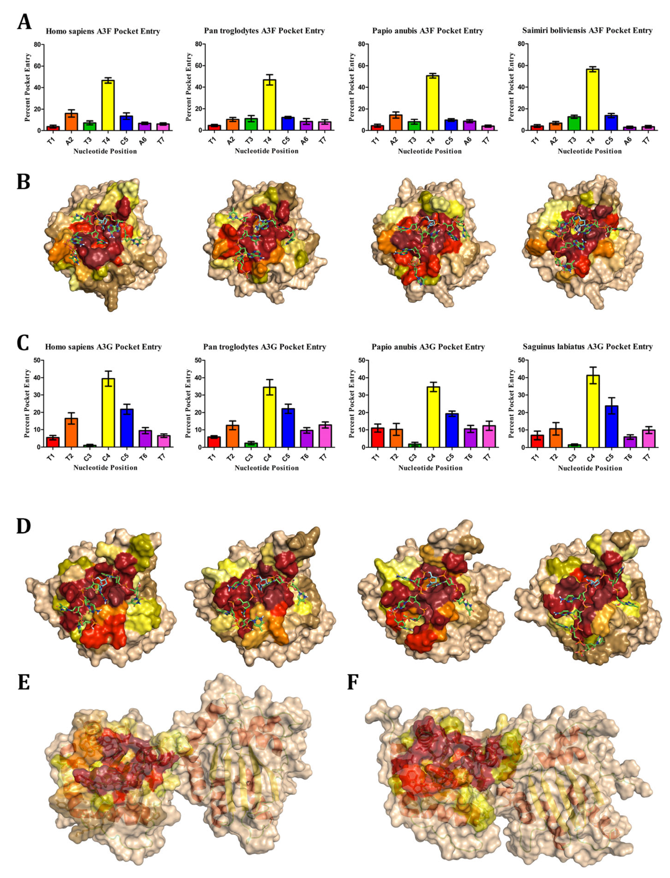 Viruses 17 00393 g010