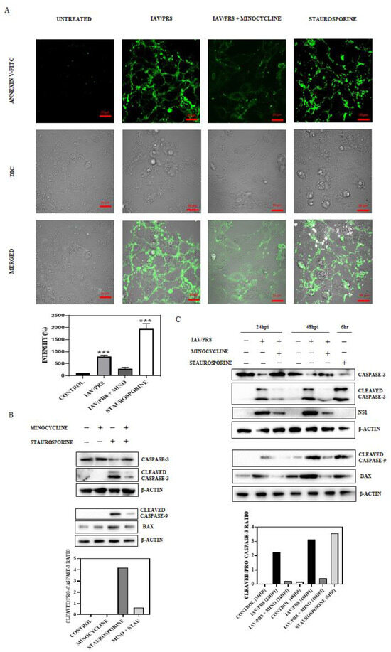 Viruses 17 00396 g004