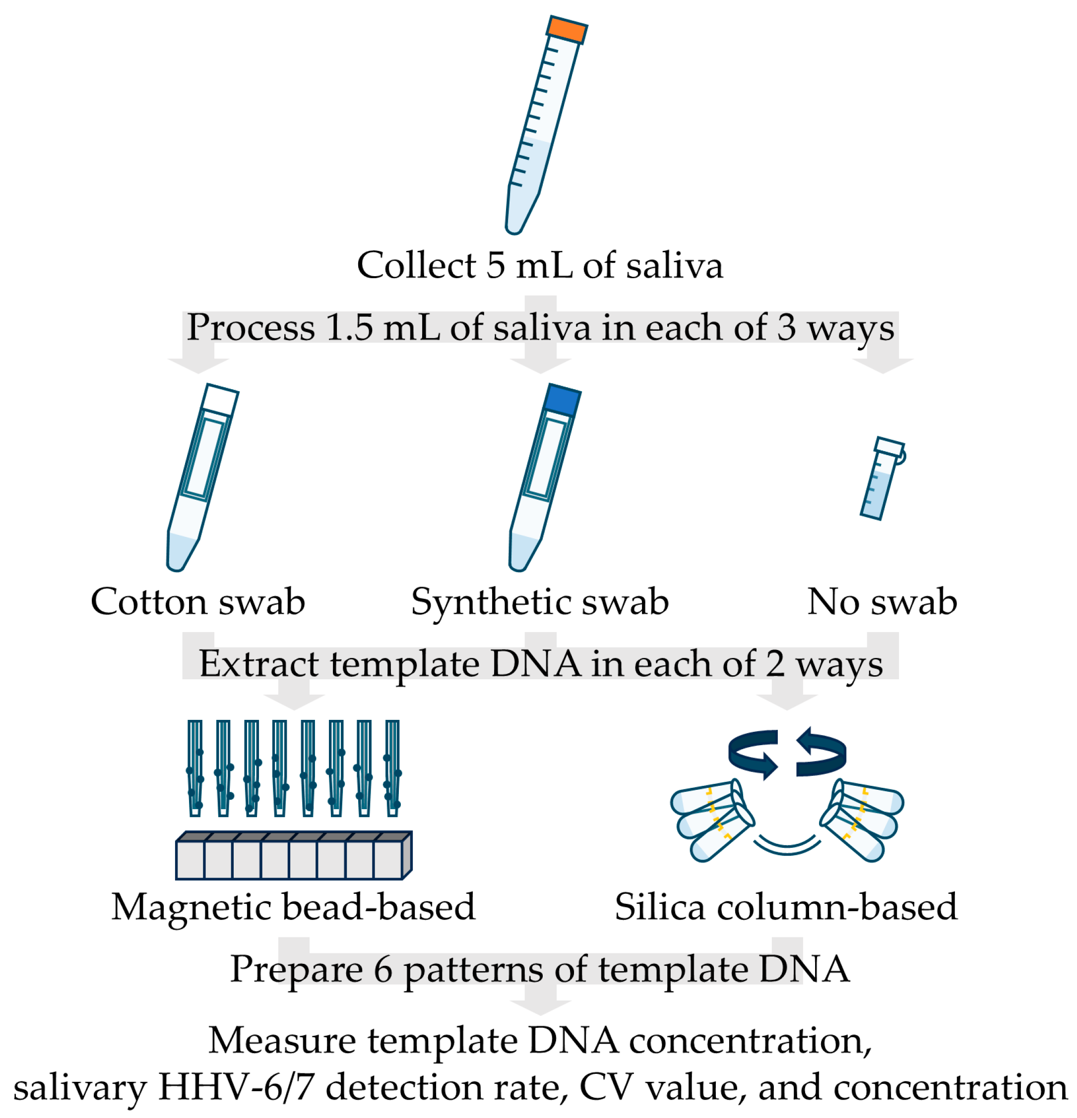 Viruses 17 00411 g001