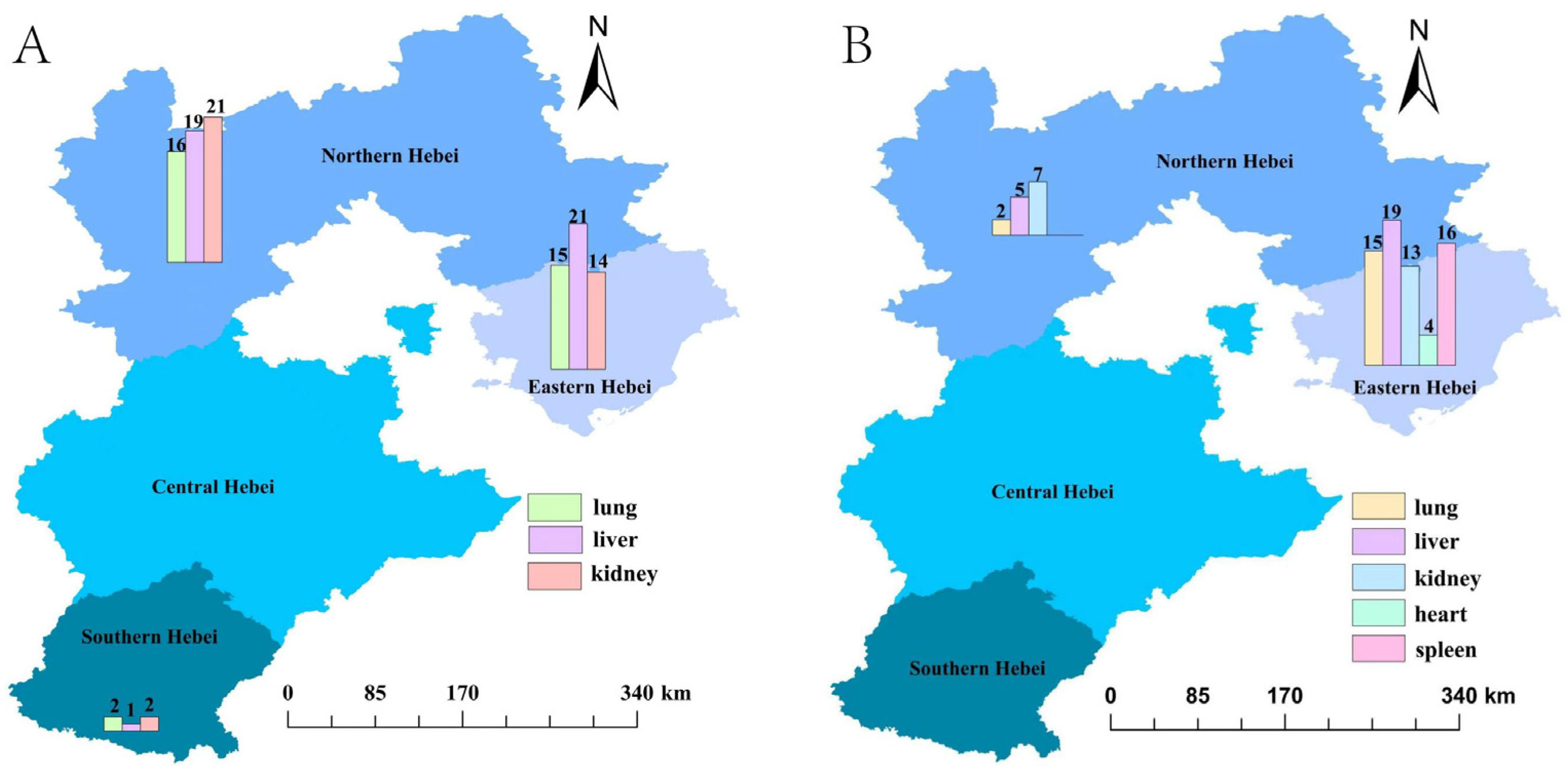 Viruses 17 00412 g002