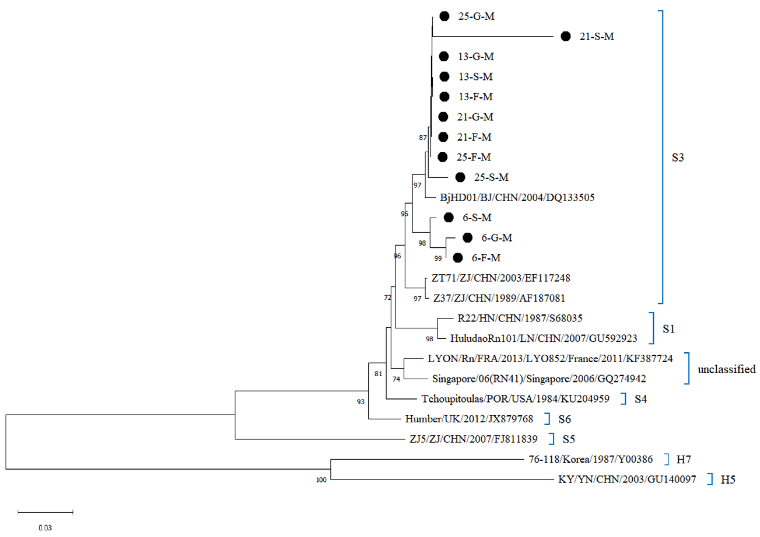 Viruses 17 00412 g005