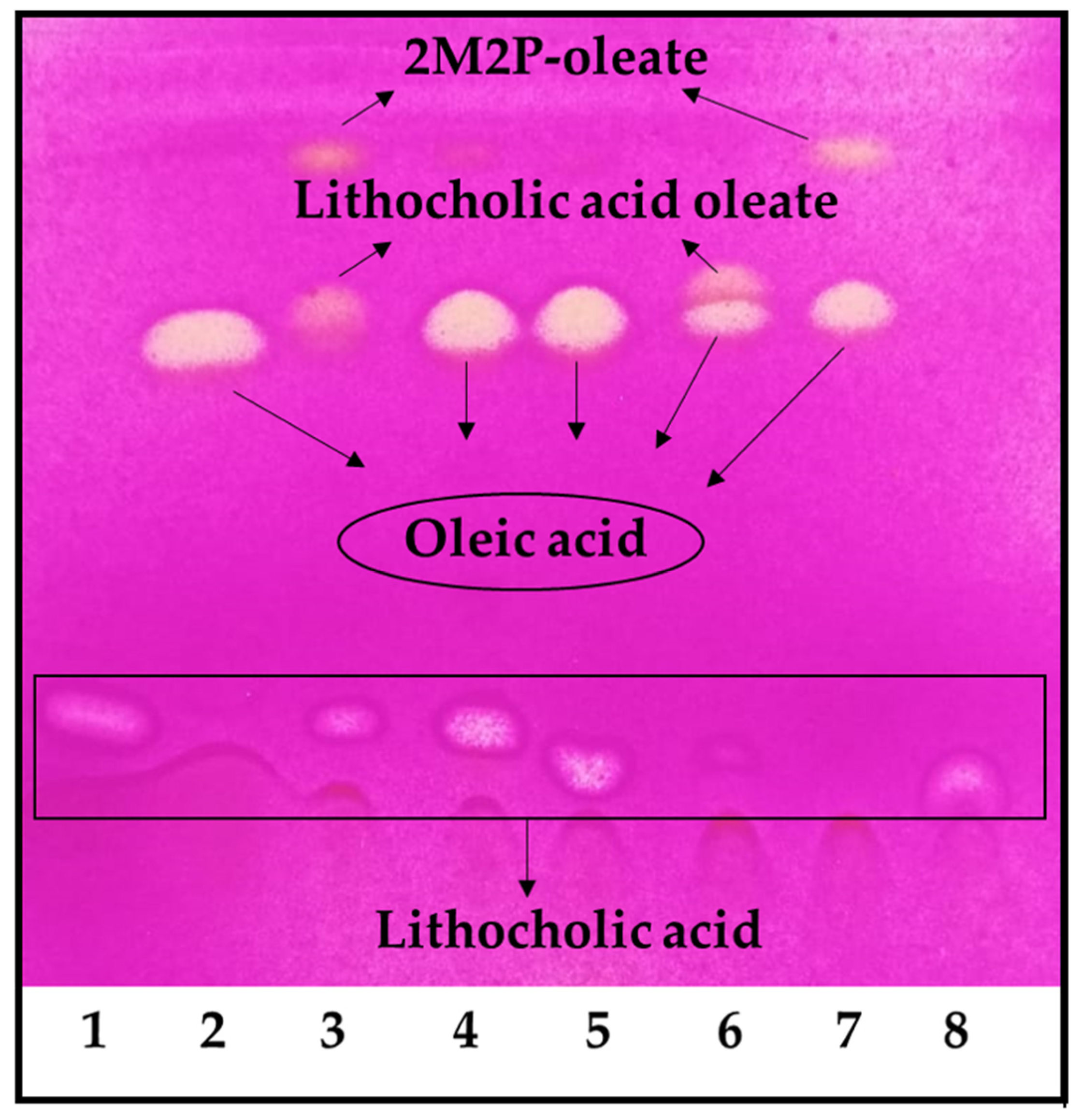 Viruses 17 00416 g001