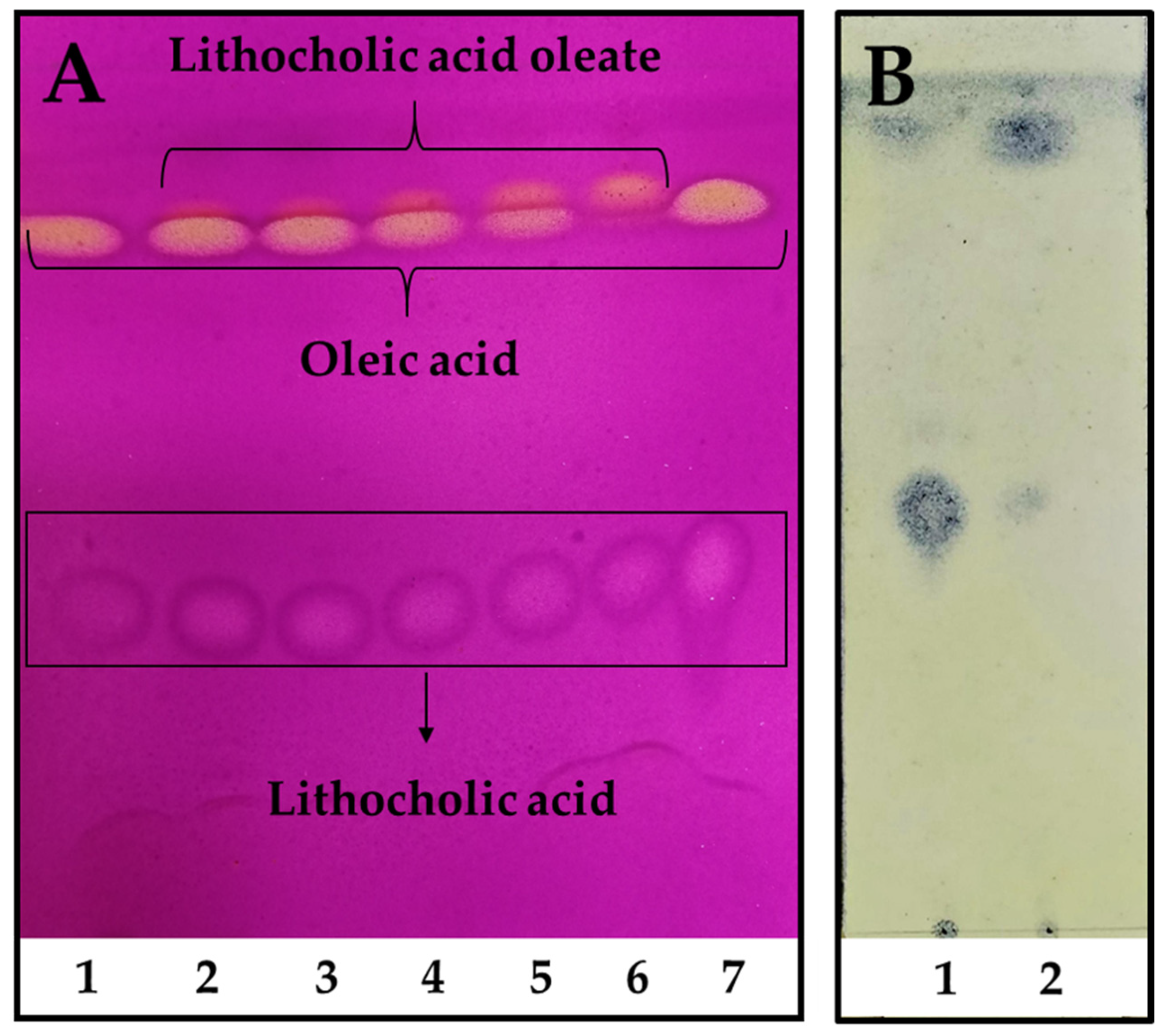 Viruses 17 00416 g002