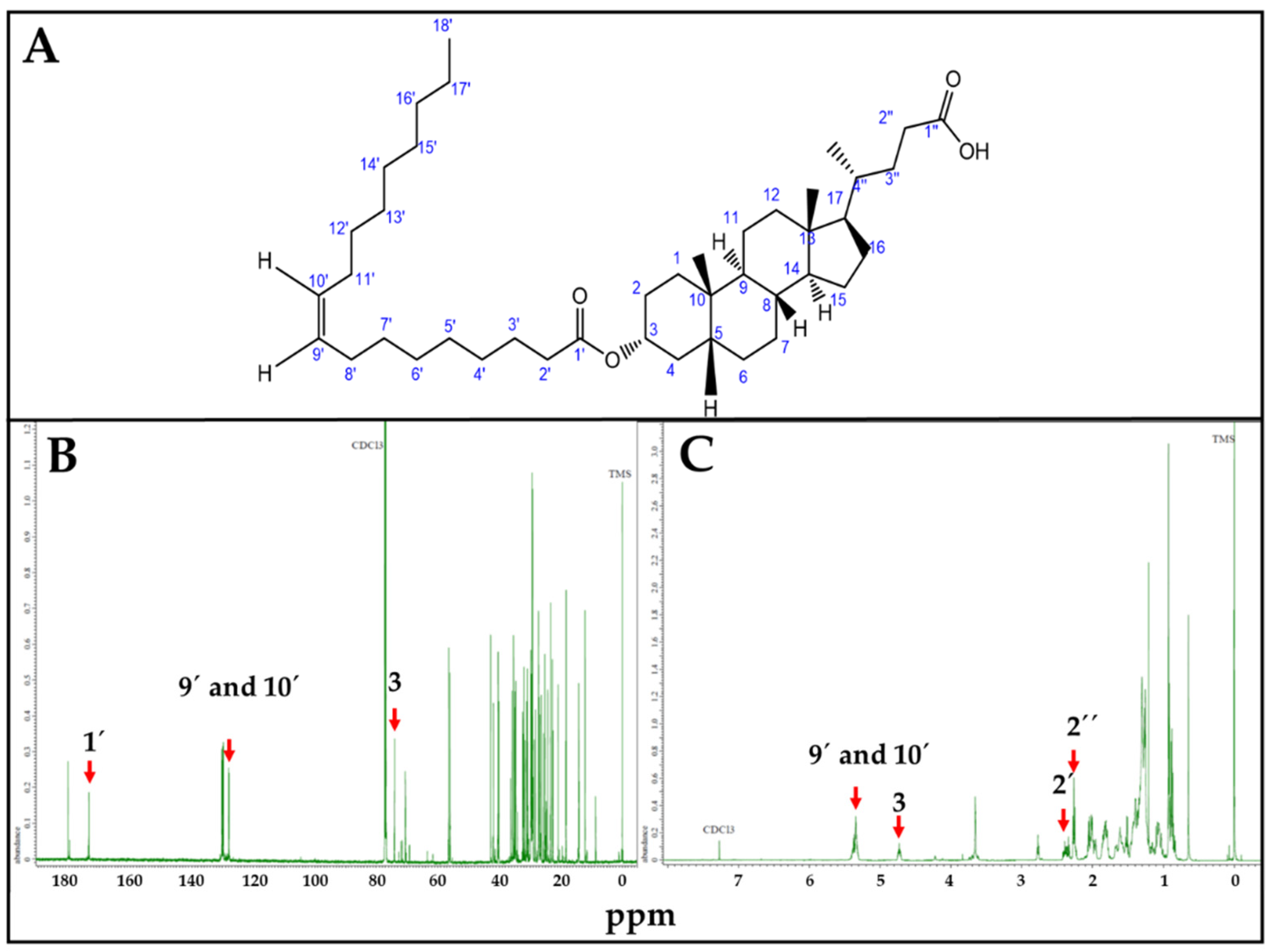 Viruses 17 00416 g003