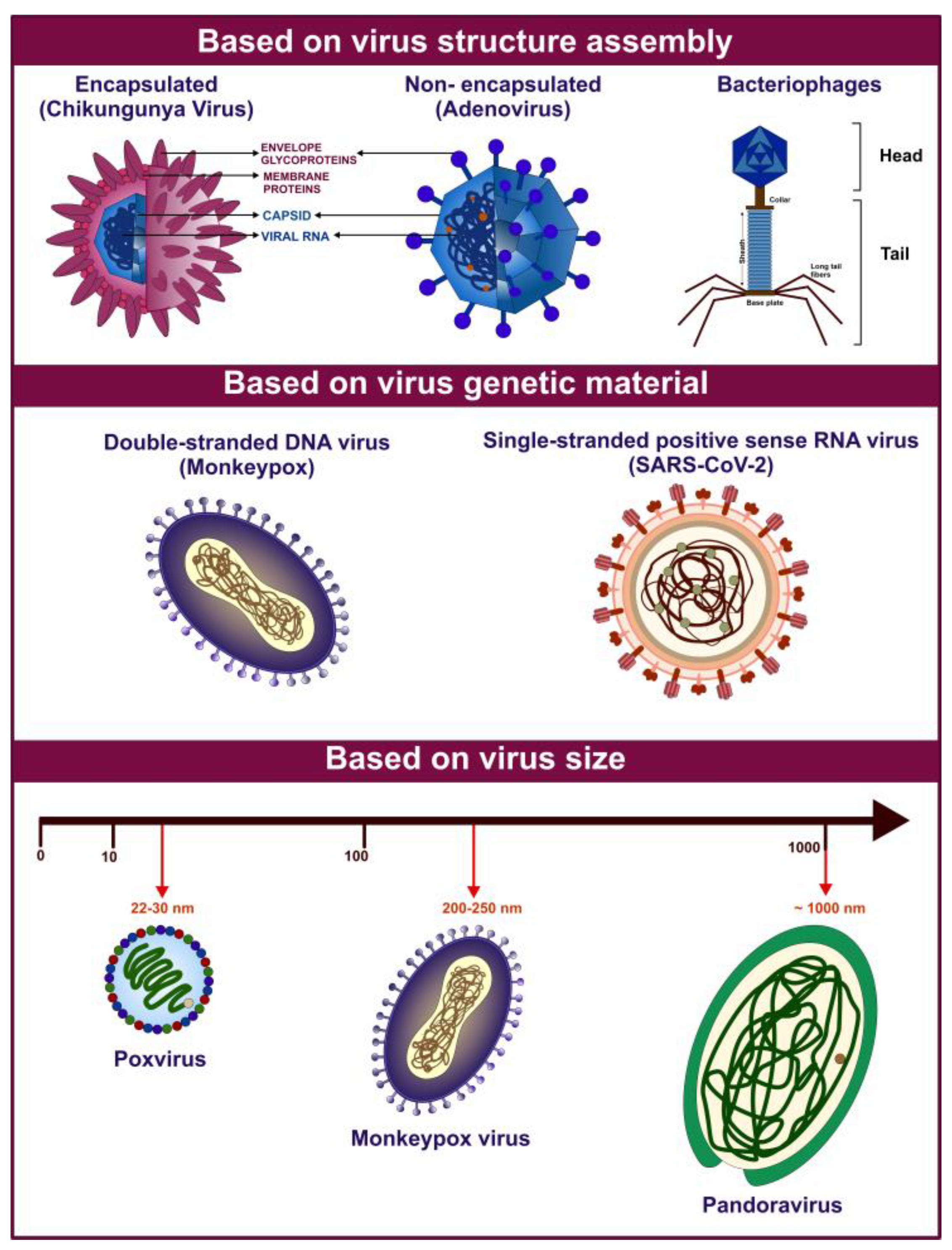 Viruses 17 00417 g001
