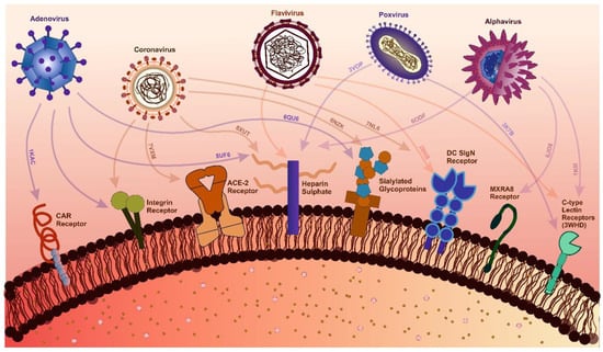 Viruses 17 00417 g002