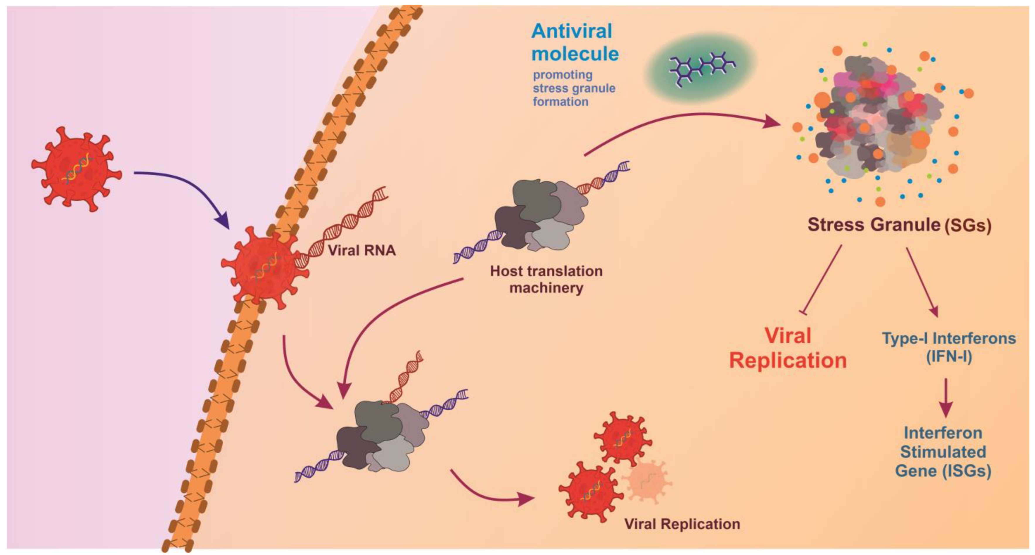 Viruses 17 00417 g003
