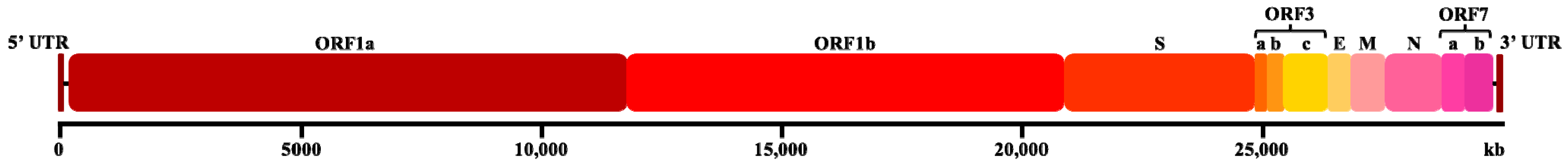 Viruses 17 00418 g001