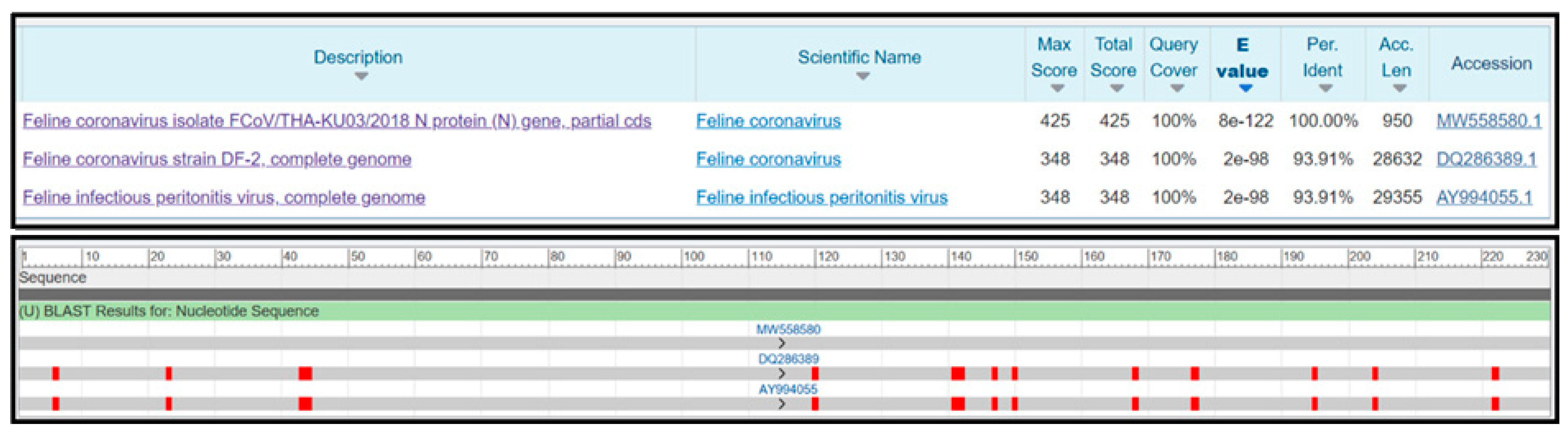 Viruses 17 00418 g006