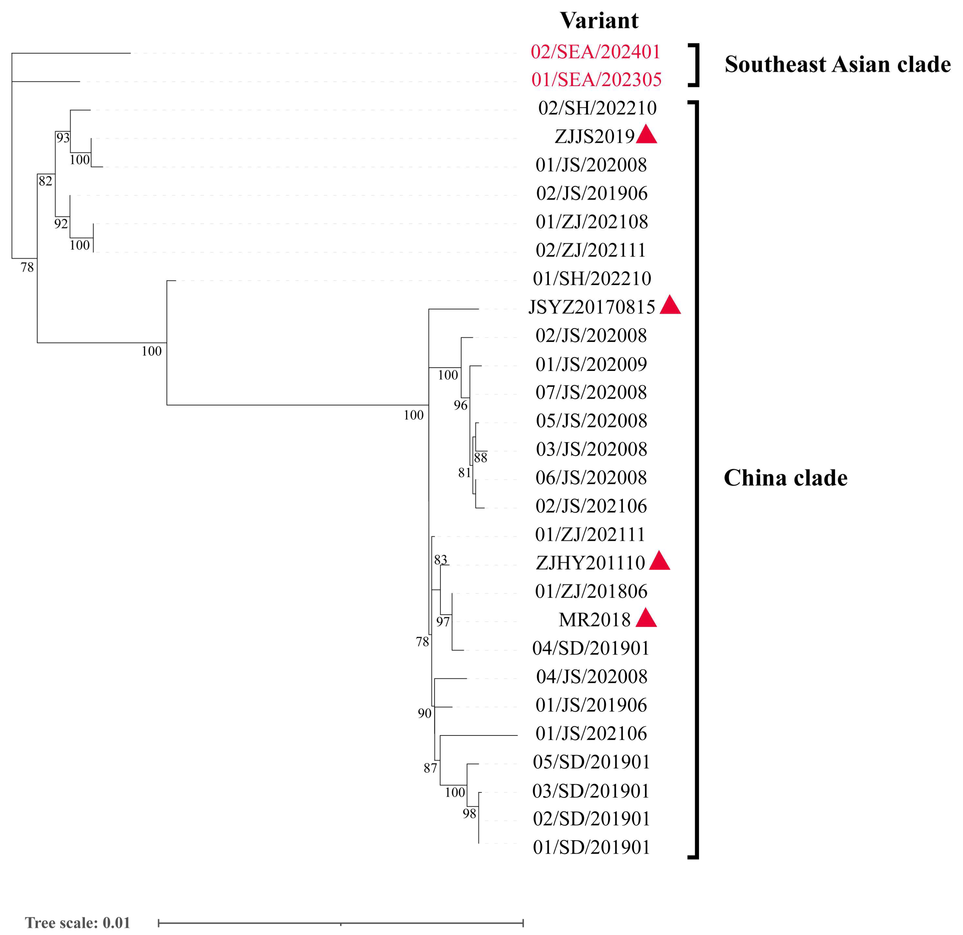 Viruses 17 00425 g001 Viruses 17 00425 g001