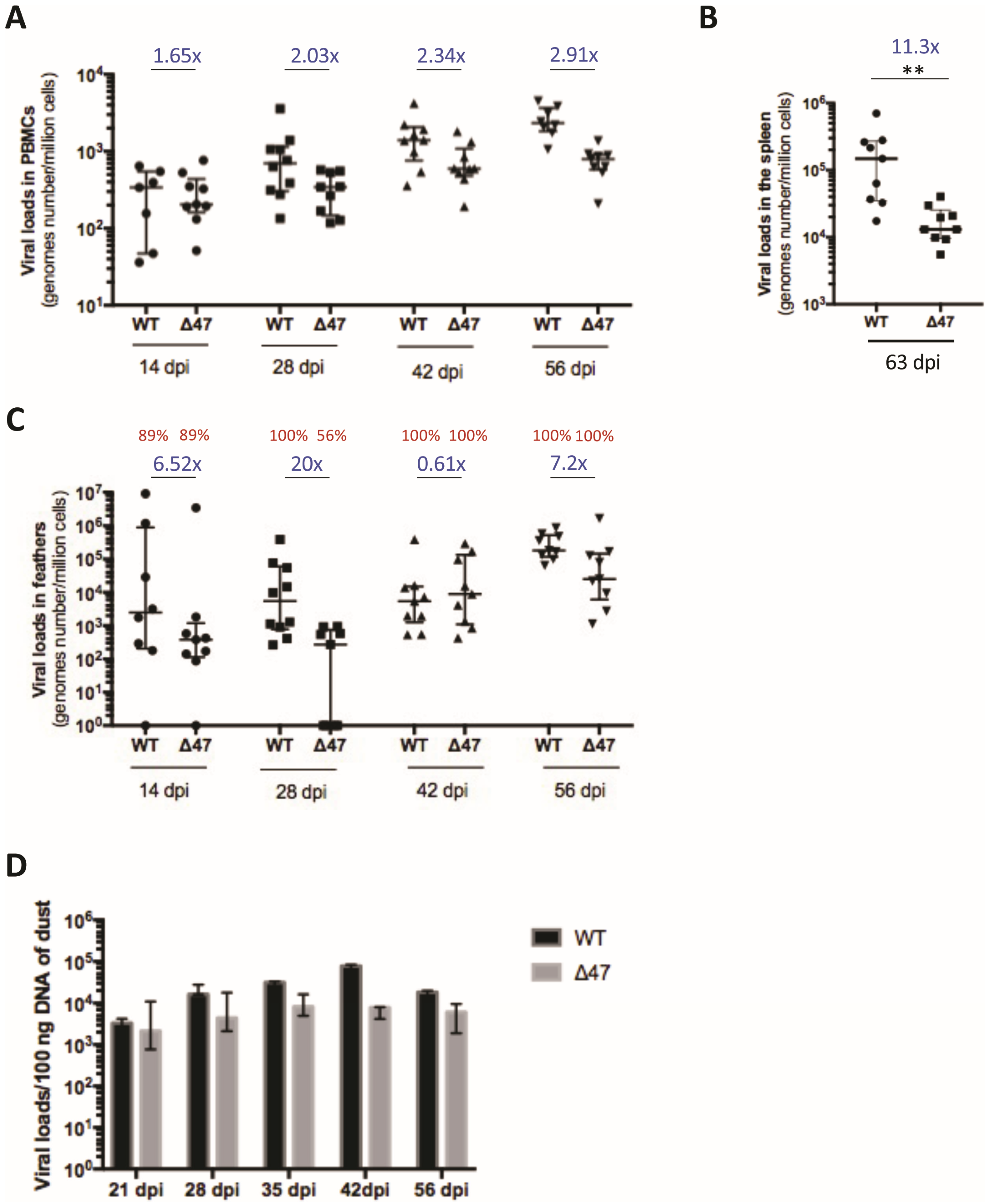 Viruses 17 00431 g002