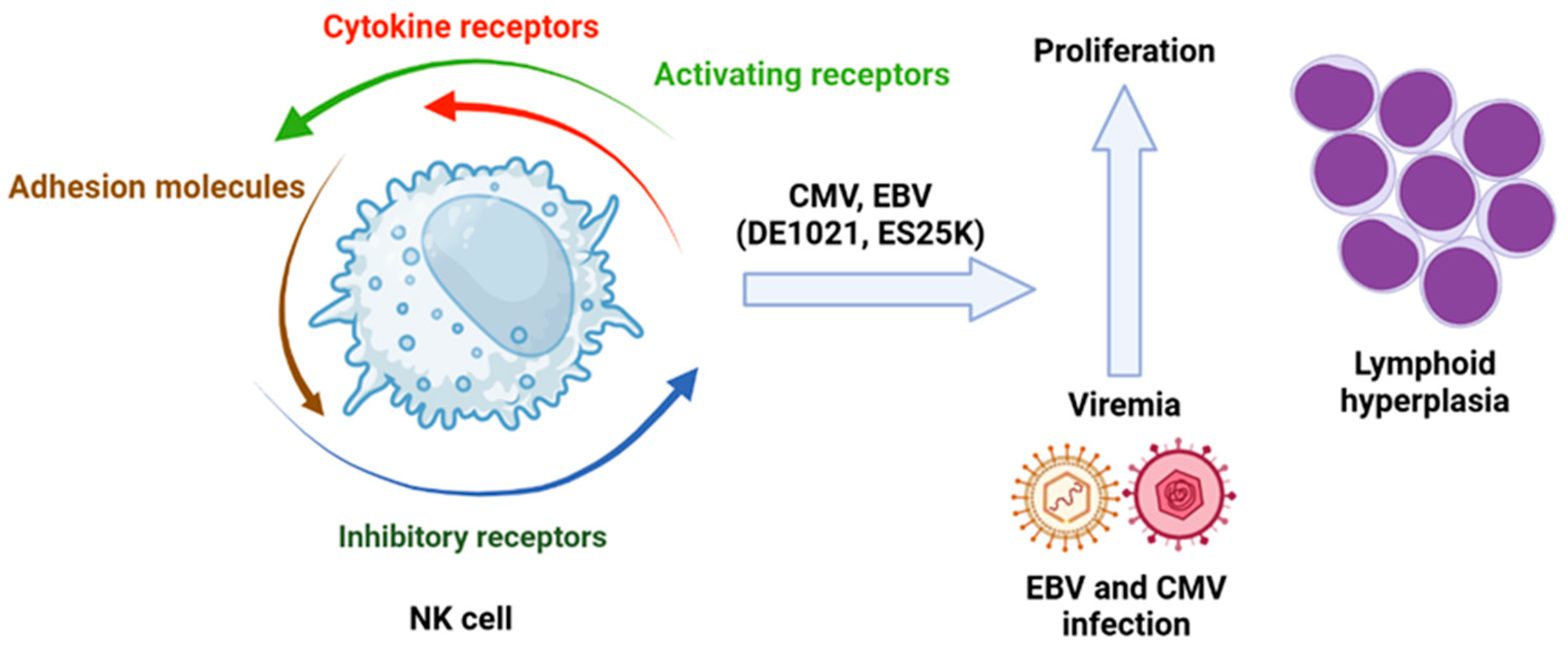Viruses 17 00435 g005