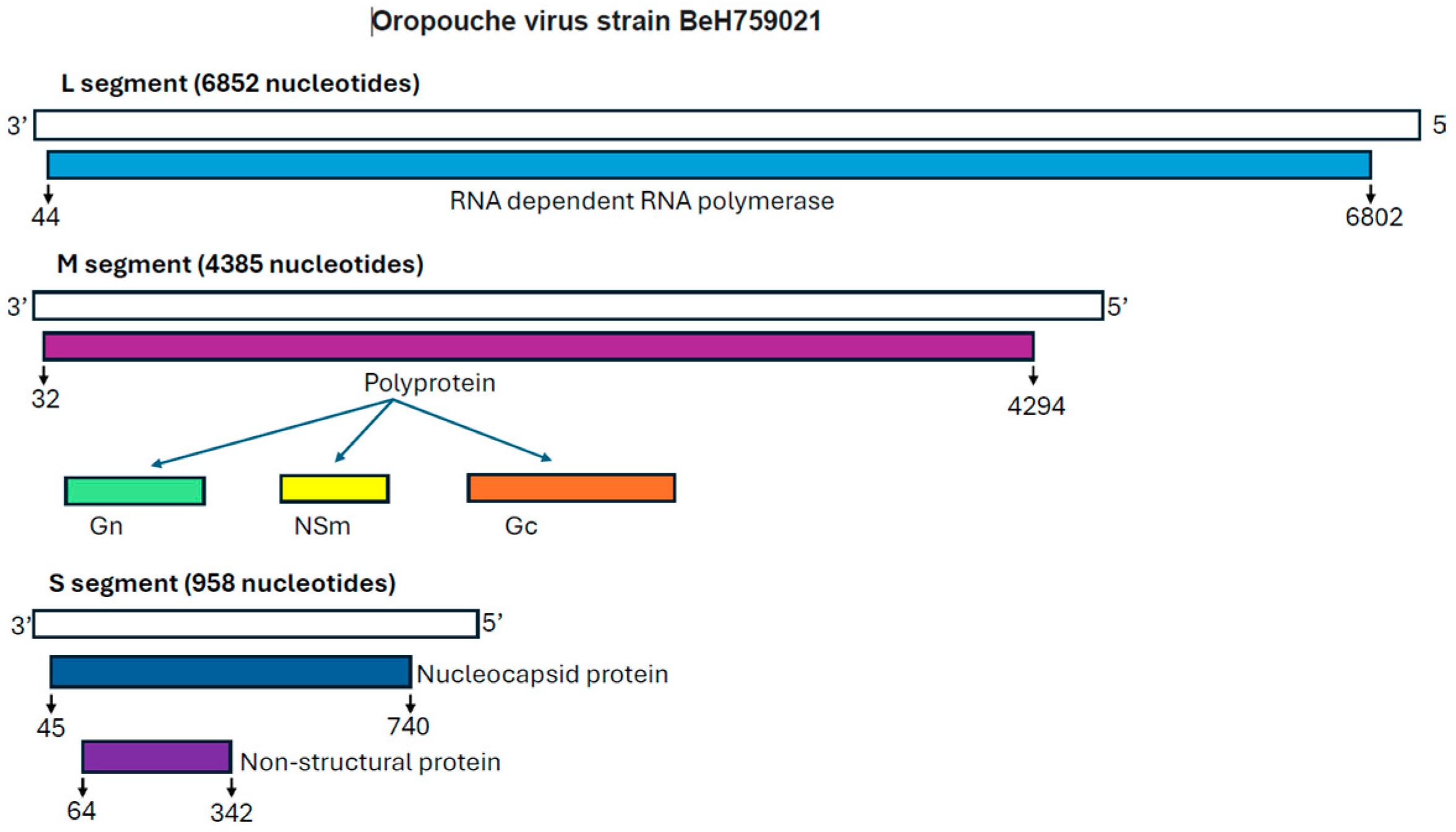 Viruses 17 00439 g003
