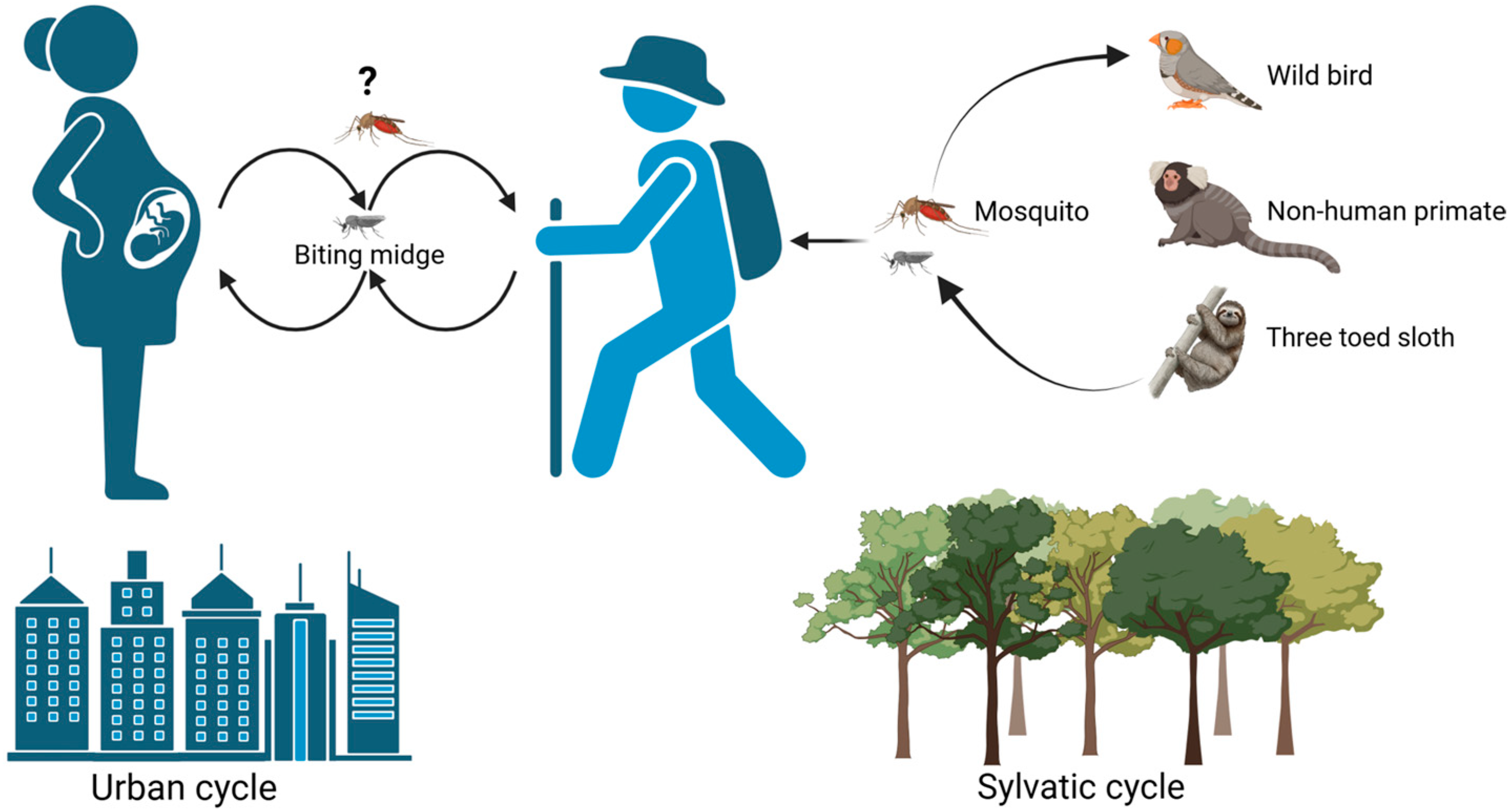 Viruses 17 00439 g004