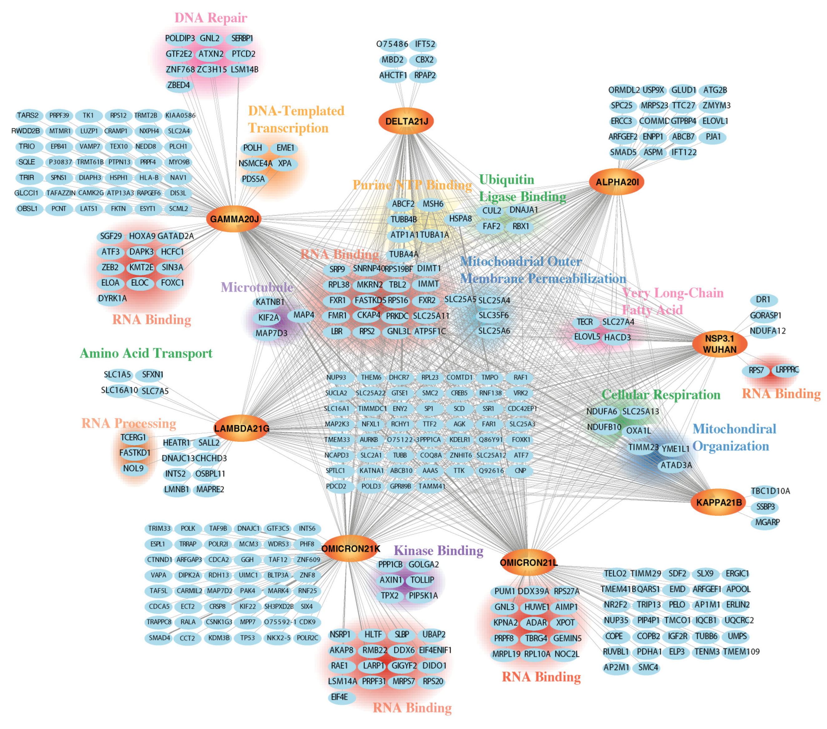 Viruses 17 00447 g002