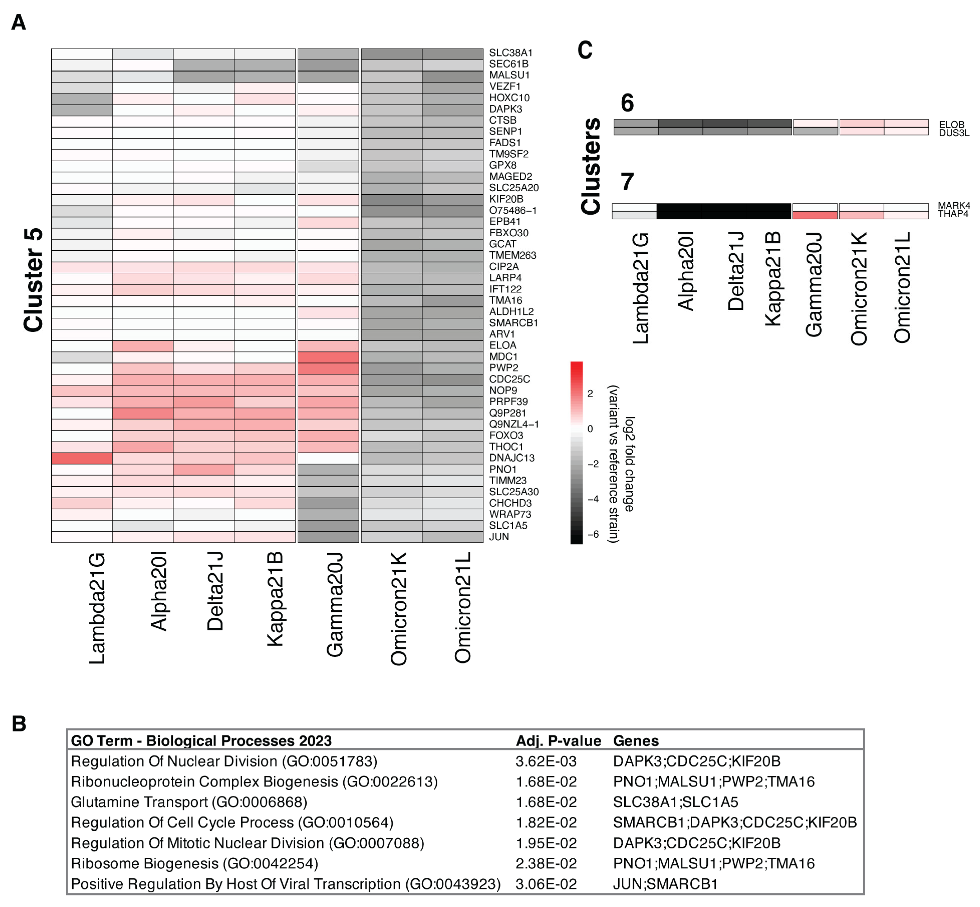 Viruses 17 00447 g003