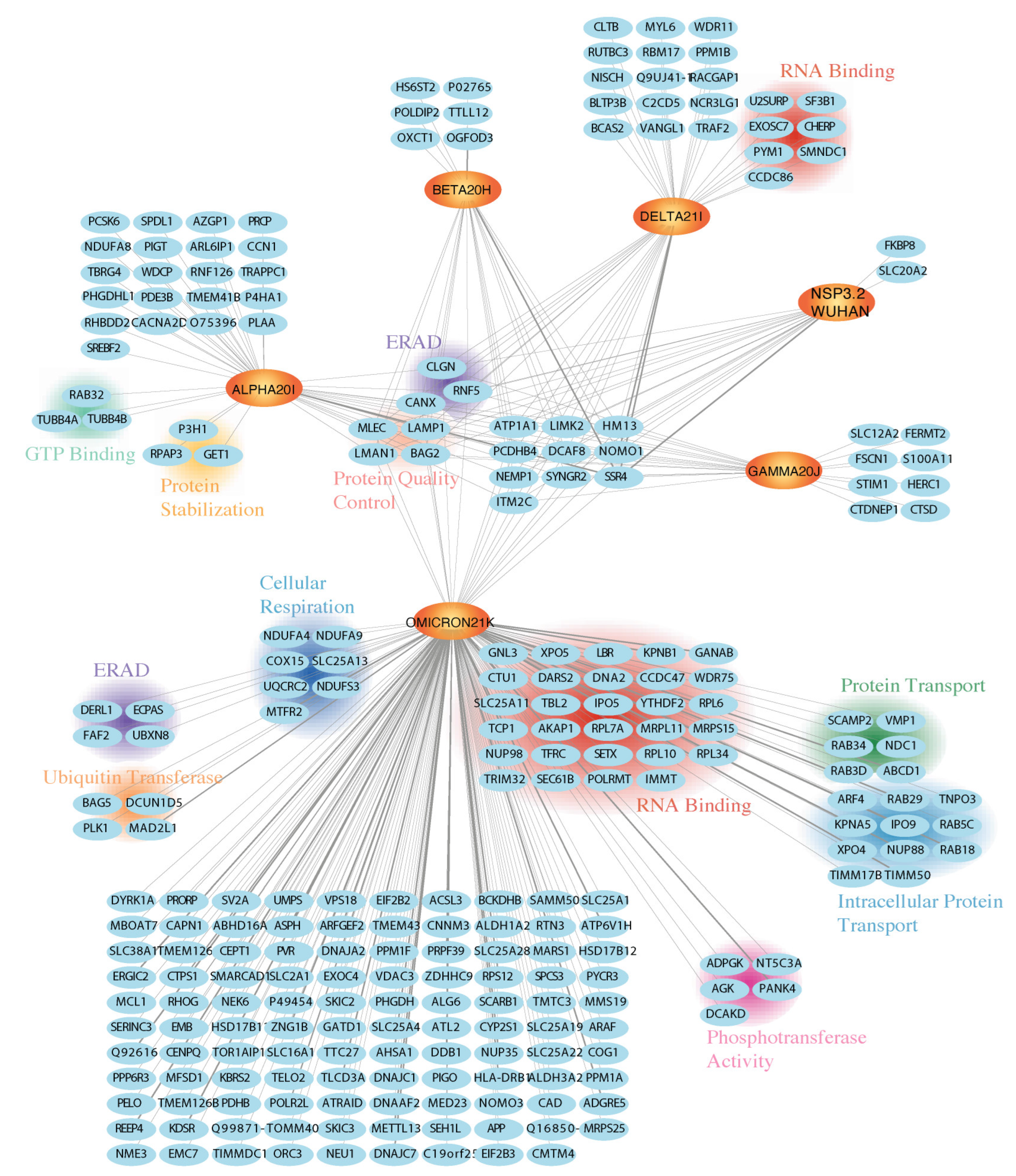 Viruses 17 00447 g004