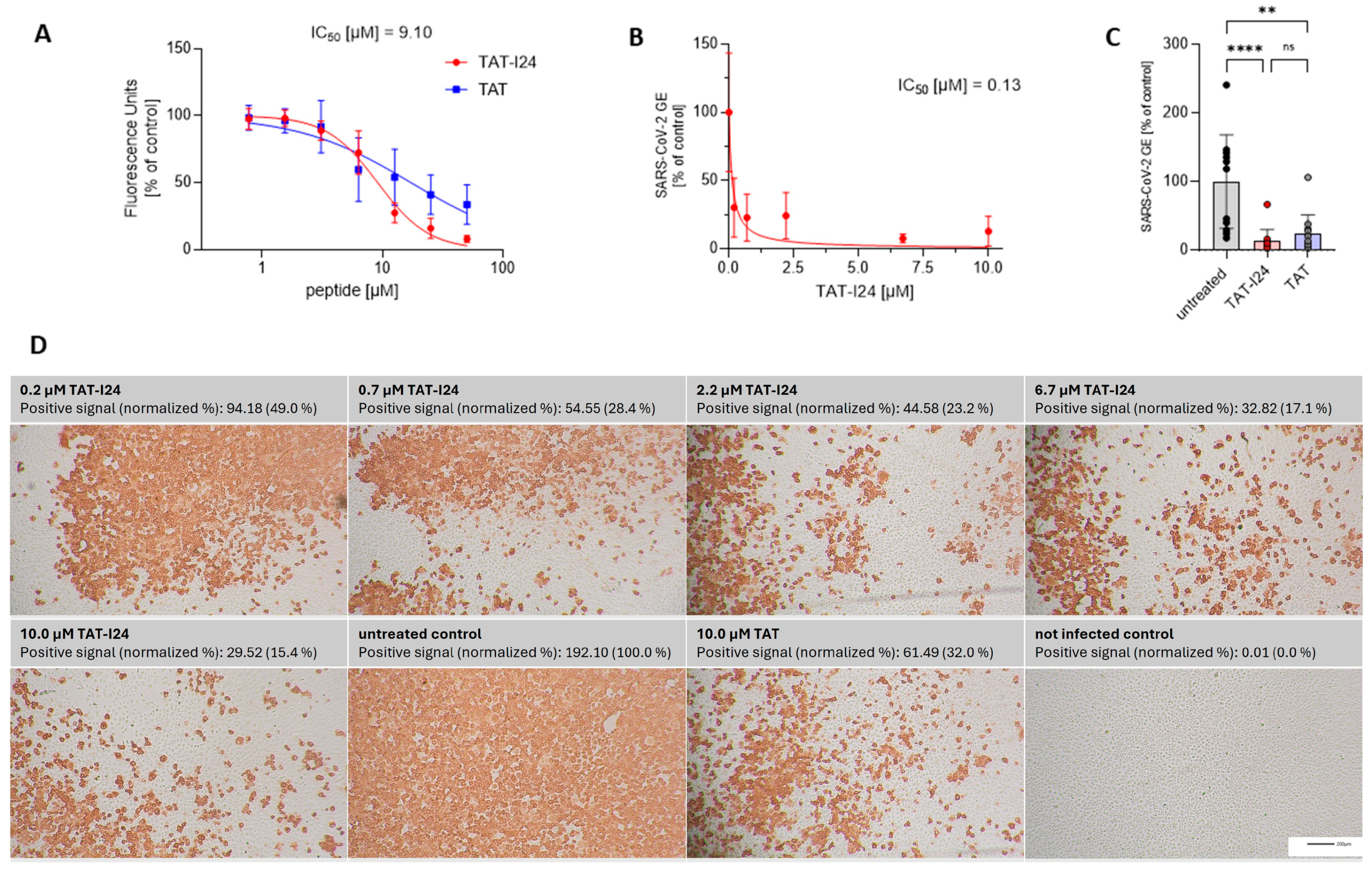 Viruses 17 00458 g001