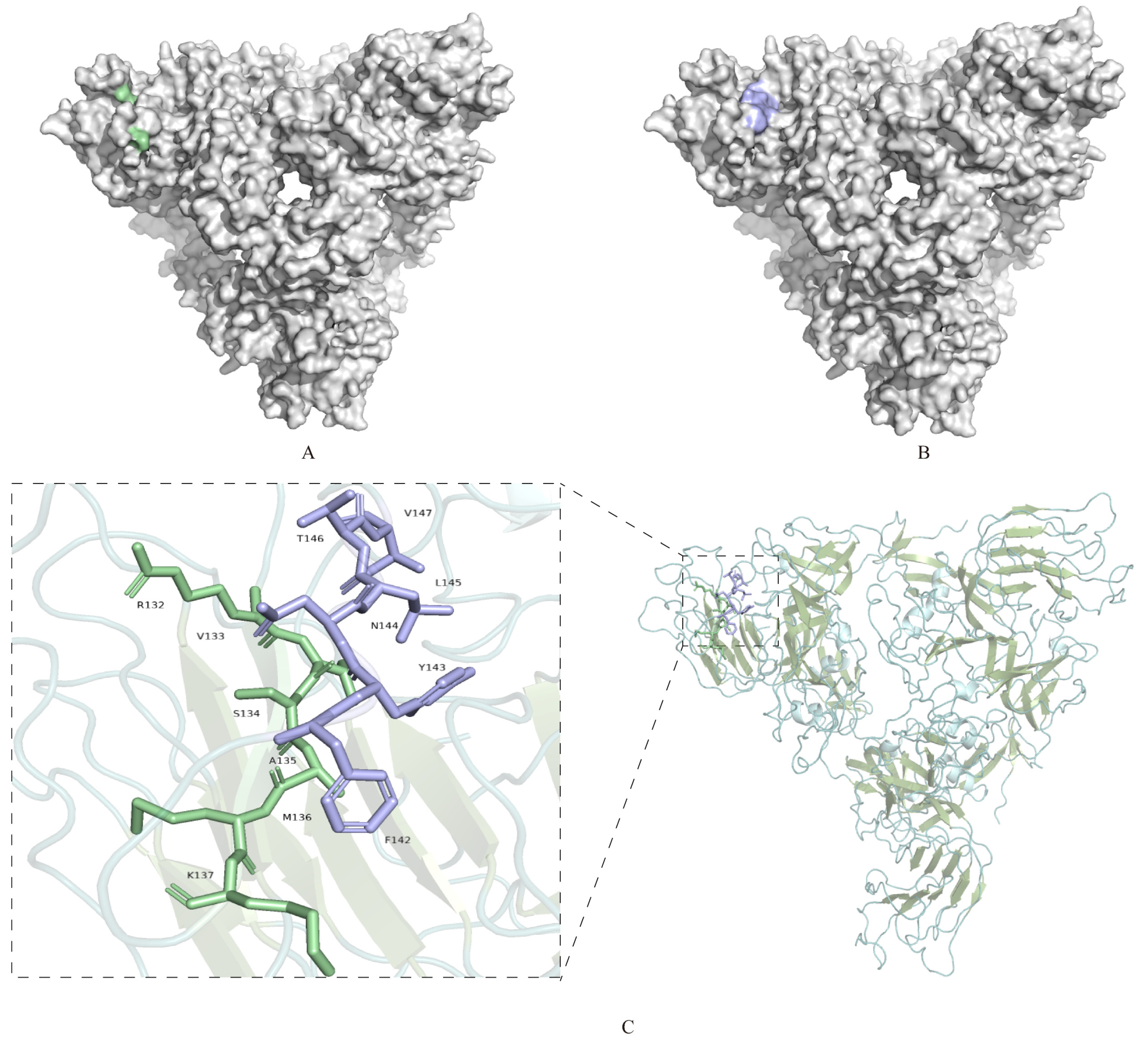 Viruses 17 00464 g005