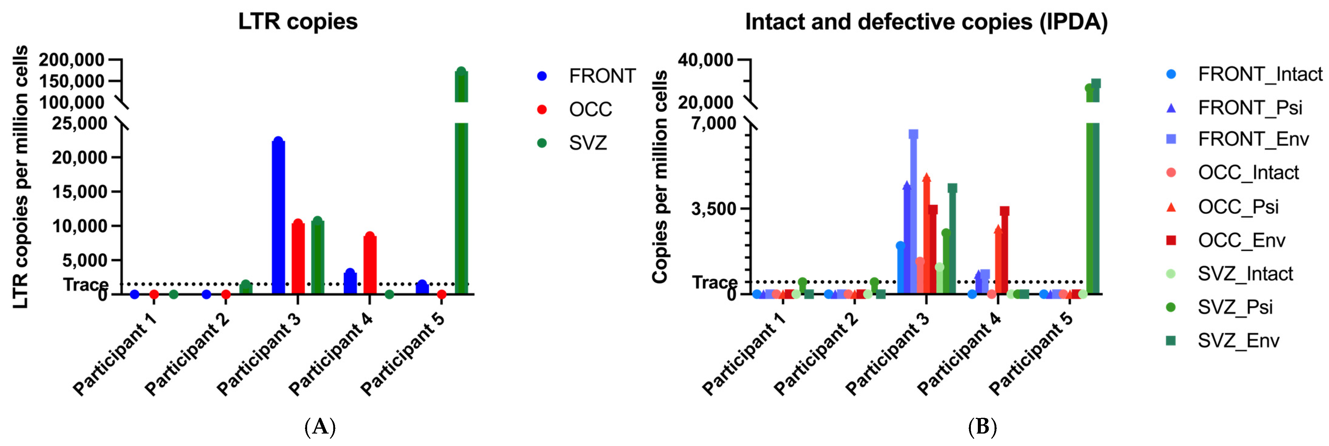 Viruses 17 00467 g001