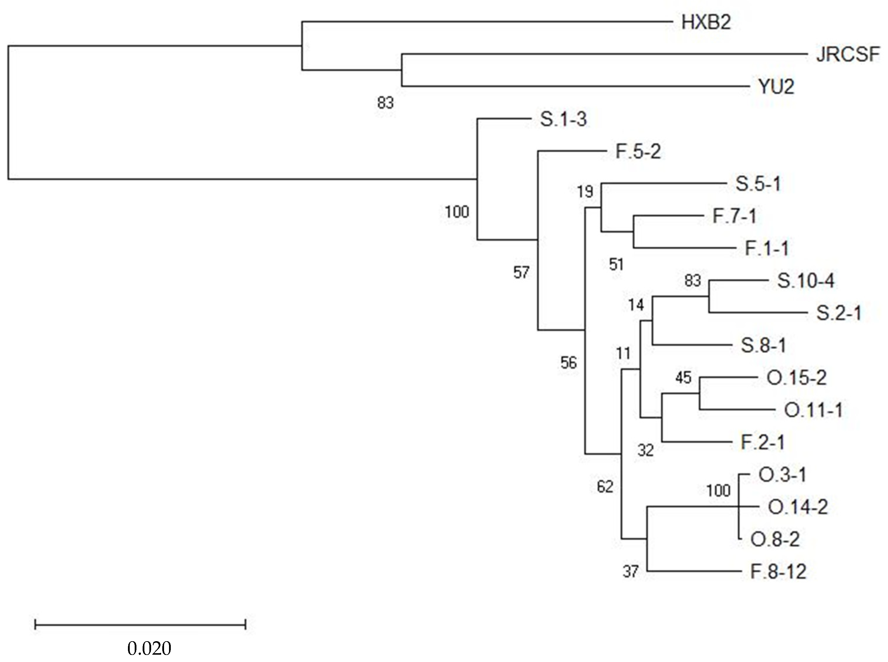 Viruses 17 00467 g003
