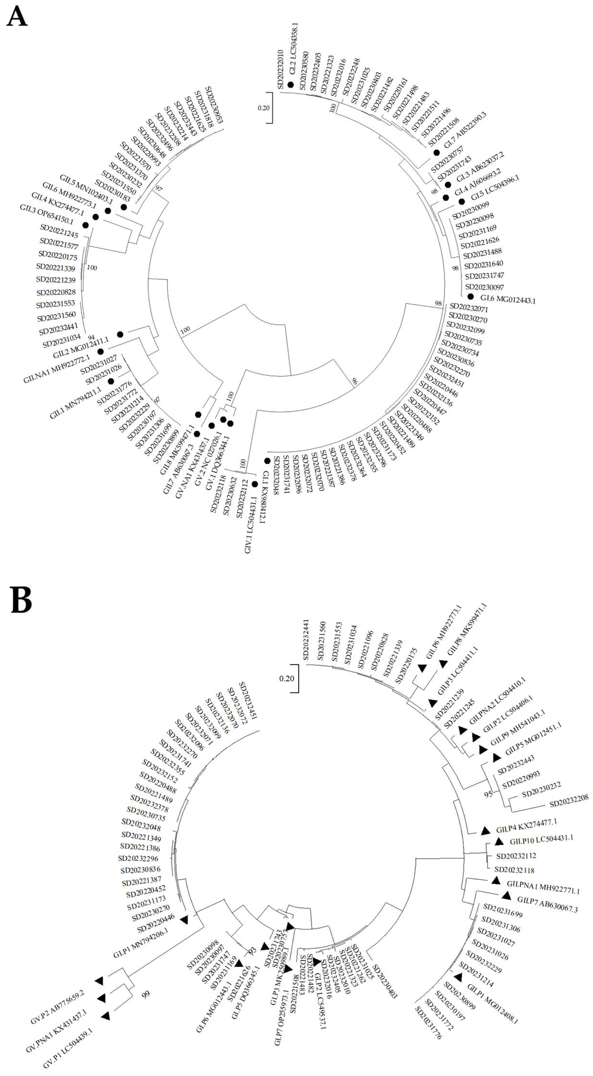 Viruses 17 00469 g003