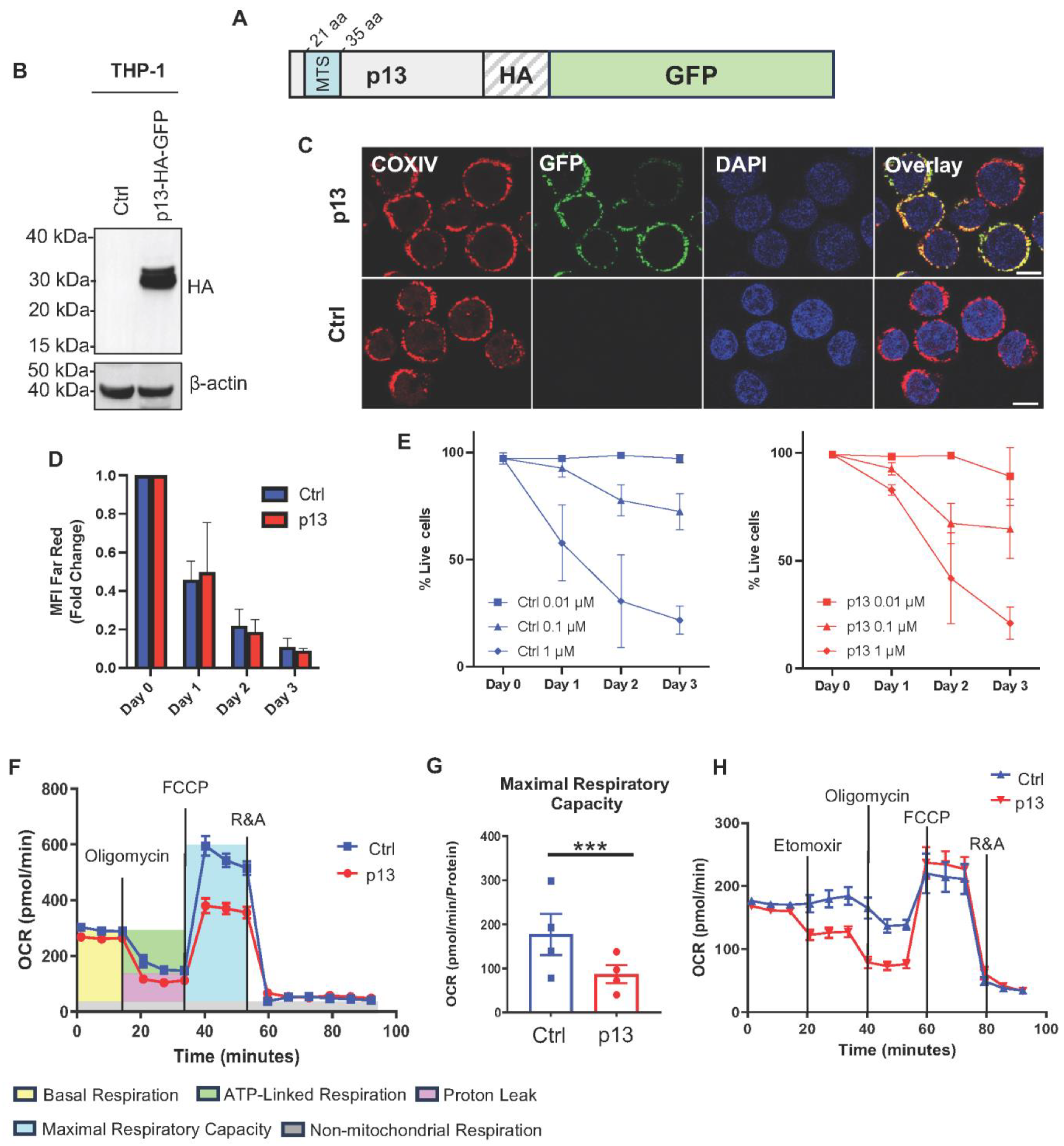 Viruses 17 00471 g001