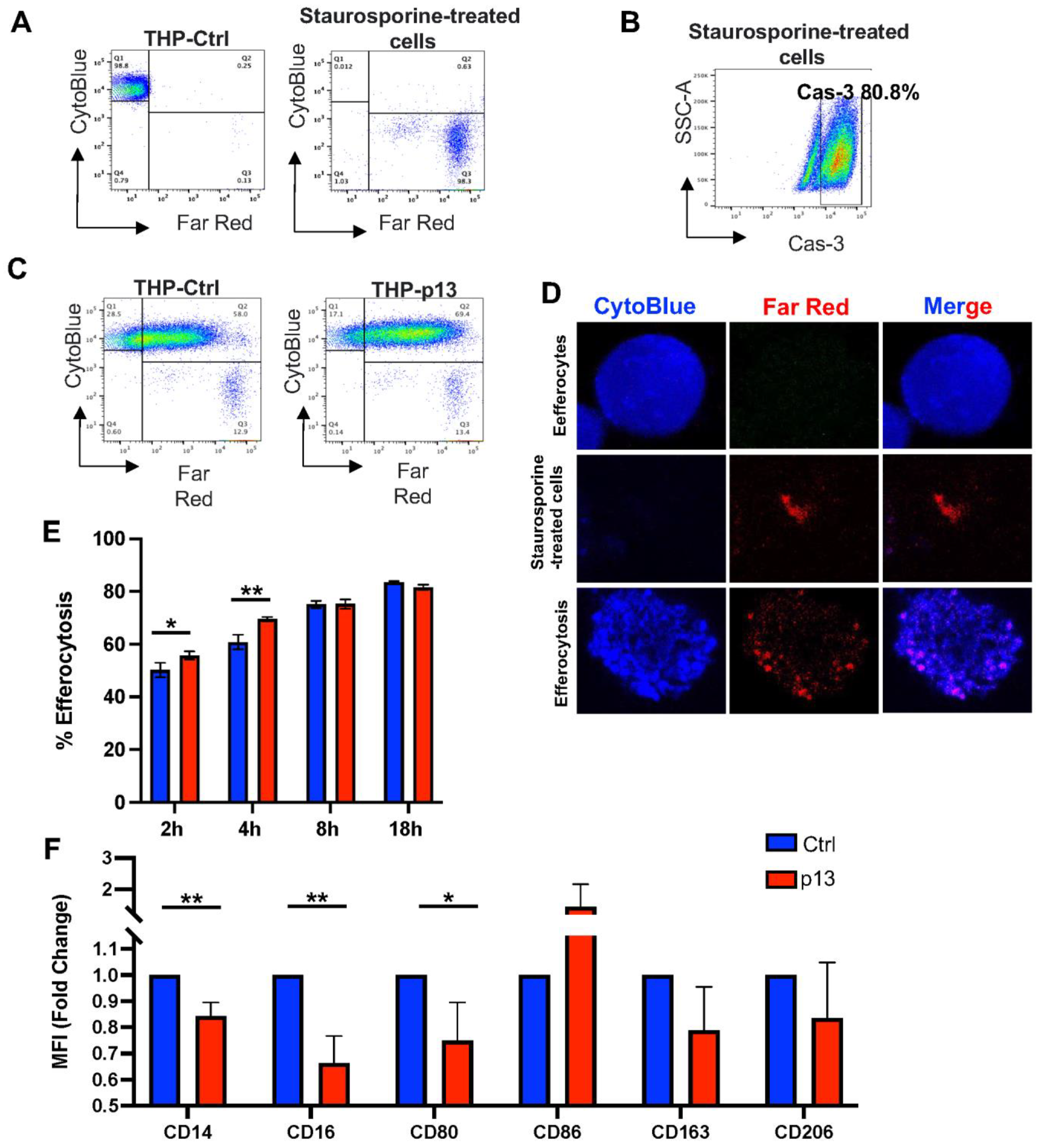 Viruses 17 00471 g002