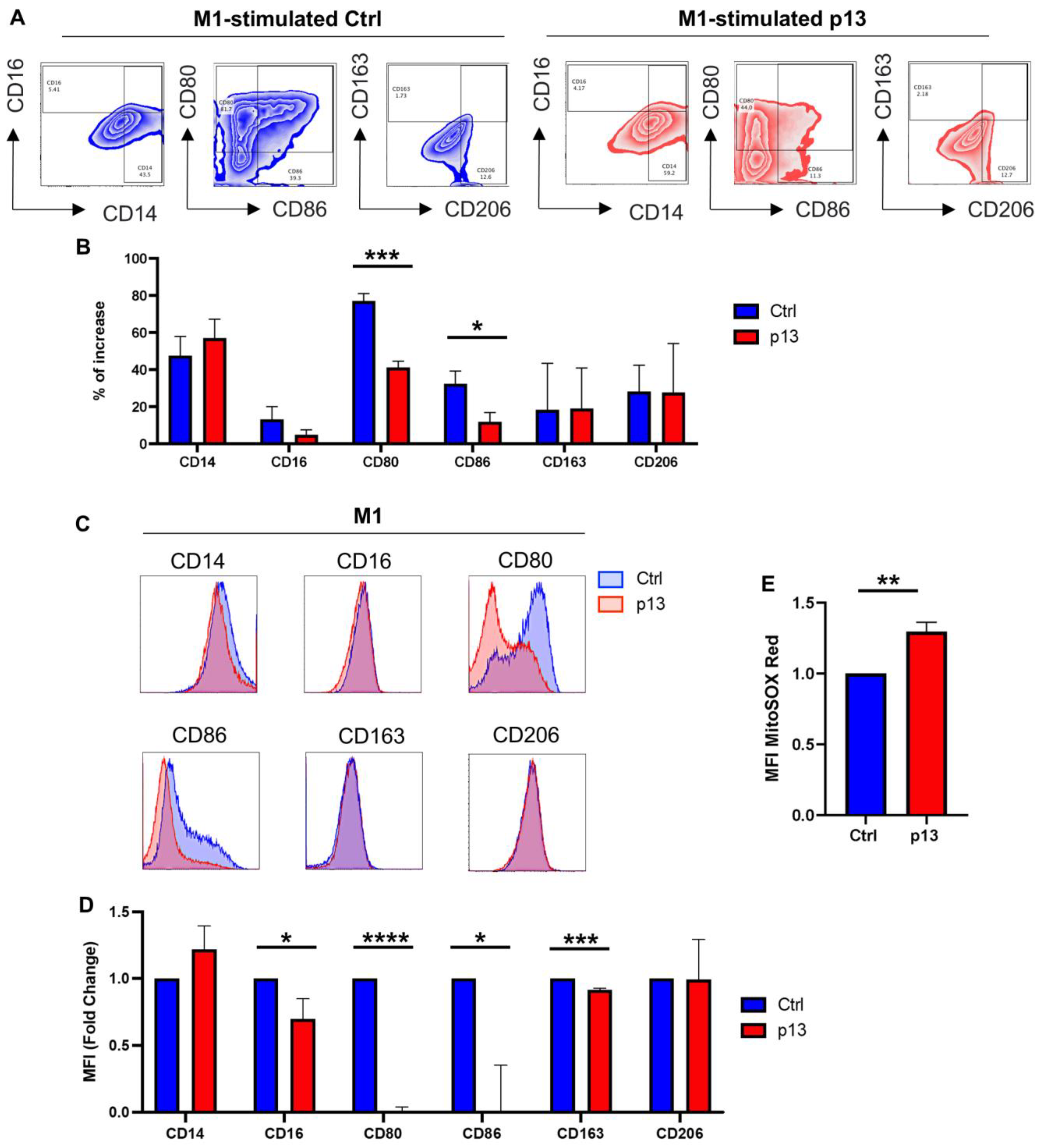 Viruses 17 00471 g003