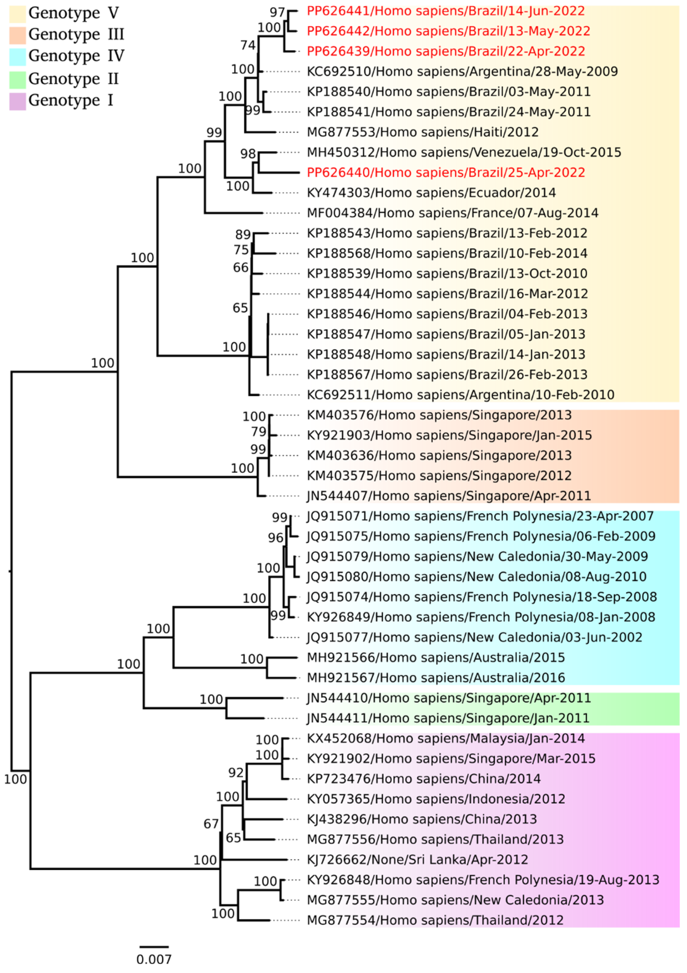Viruses 17 00475 g001 Viruses 17 00475 g001