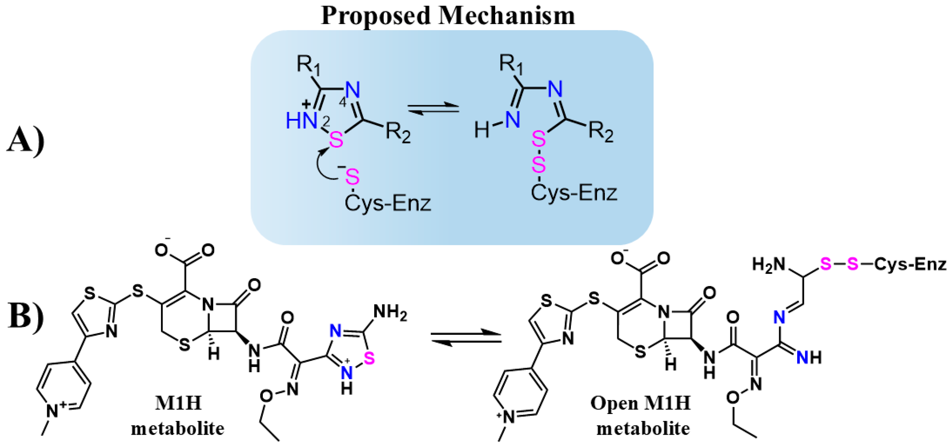 Viruses 17 00491 g001