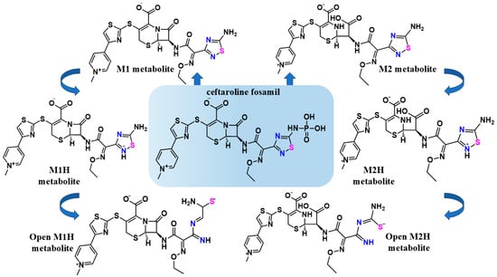 Viruses 17 00491 g002