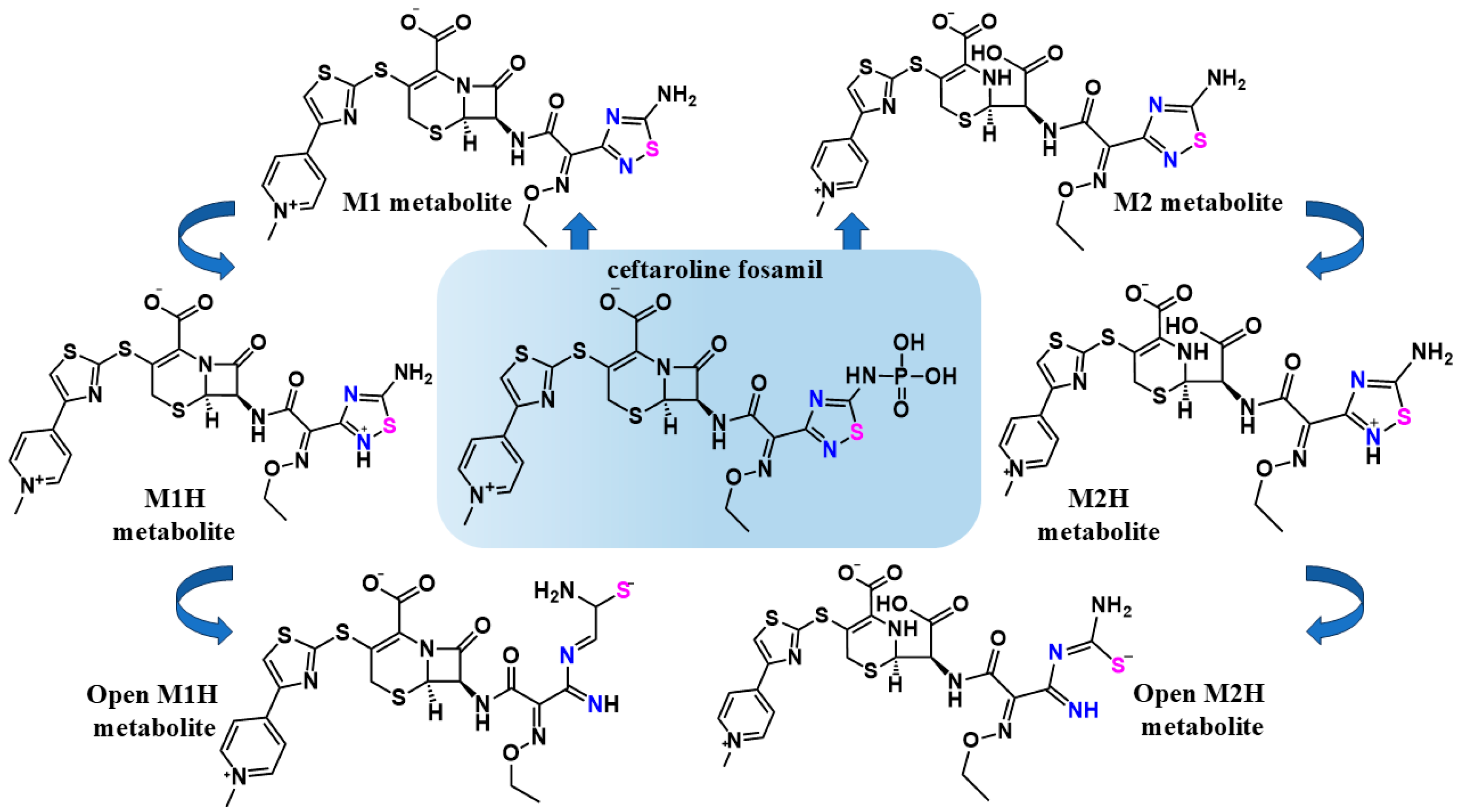 Viruses 17 00491 g002