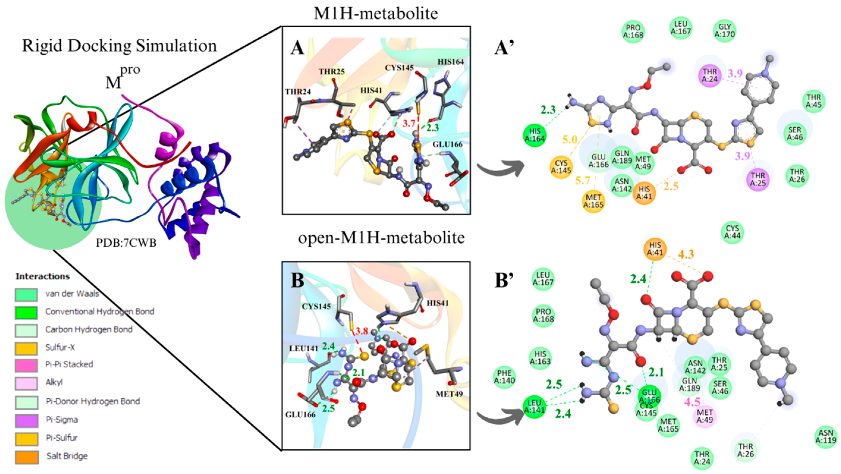 Viruses 17 00491 g004a